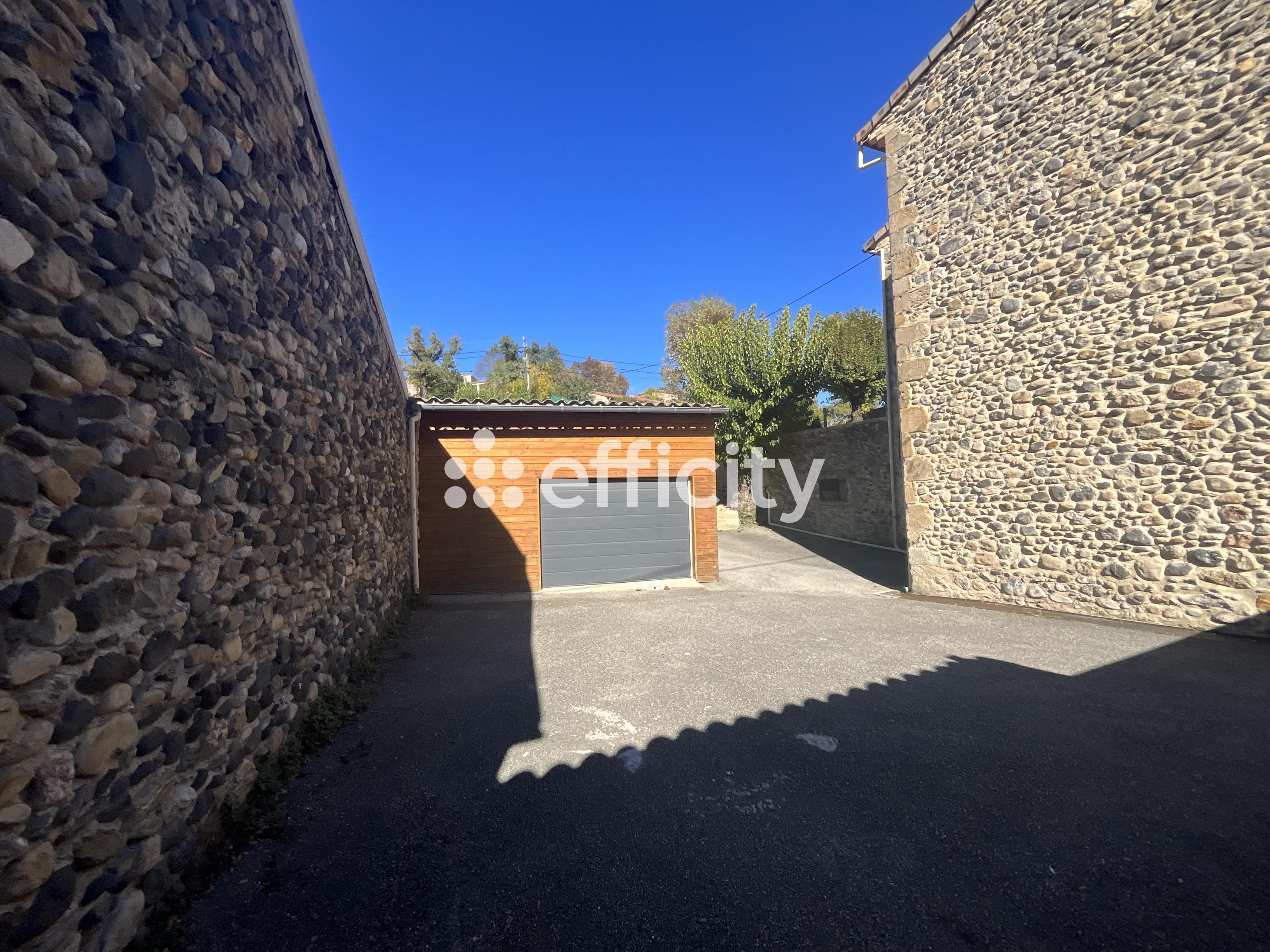 Achat immobilier Maison 13 pièces  305m2 à Saint-Julien-en-Saint-Alban (07000) - Photo n°4