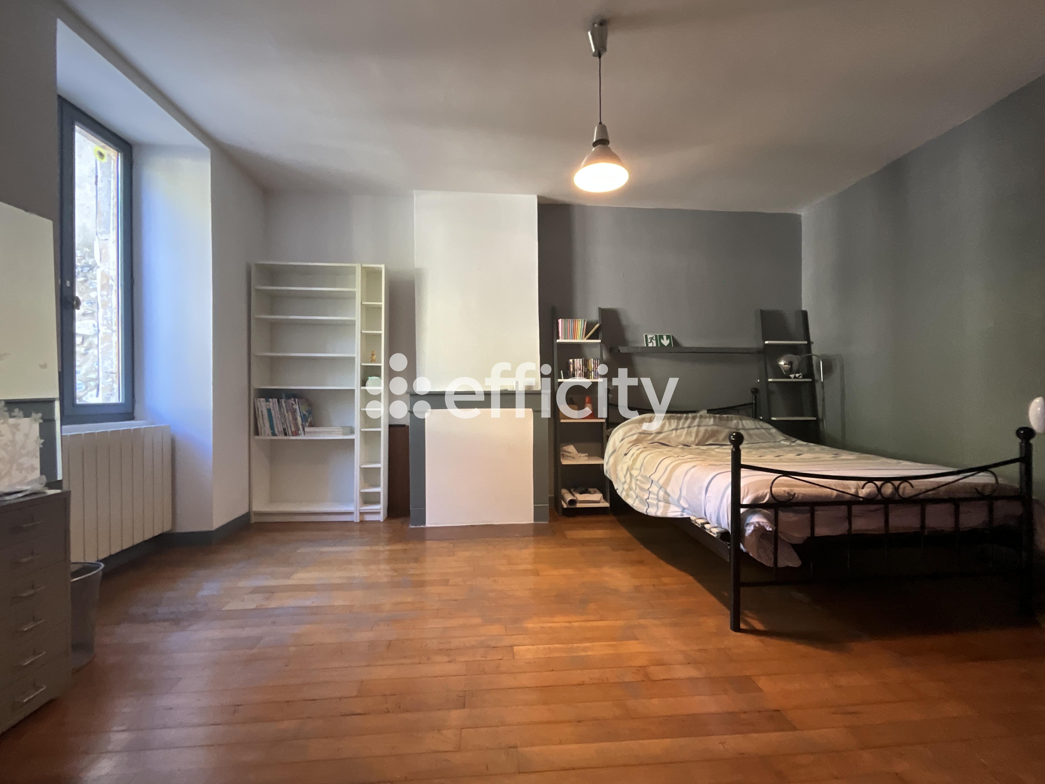 Achat immobilier Maison 13 pièces  305m2 à Saint-Julien-en-Saint-Alban (07000) - Photo n°13