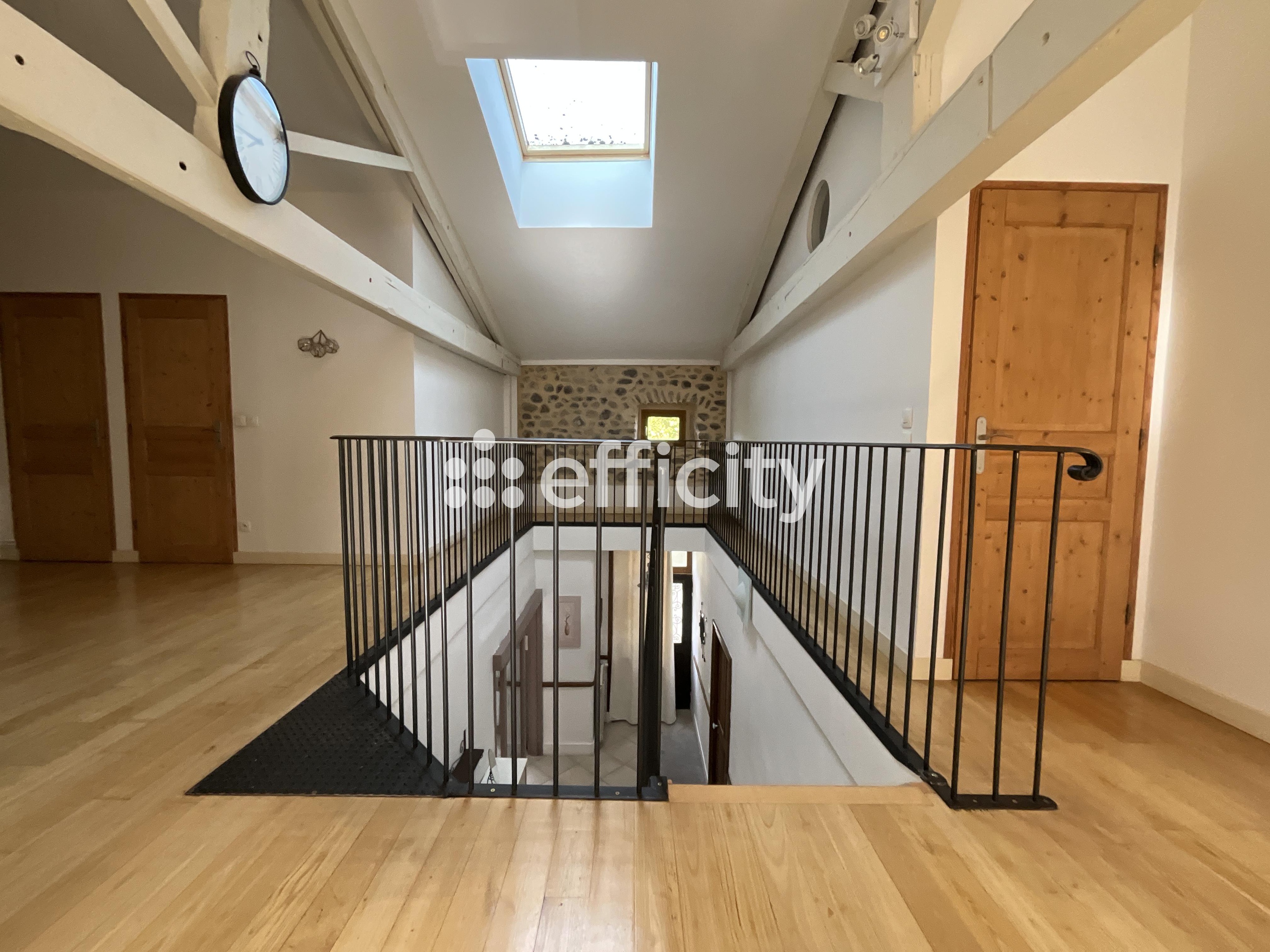 Achat immobilier Maison 13 pièces  305m2 à Saint-Julien-en-Saint-Alban (07000) - Photo n°12