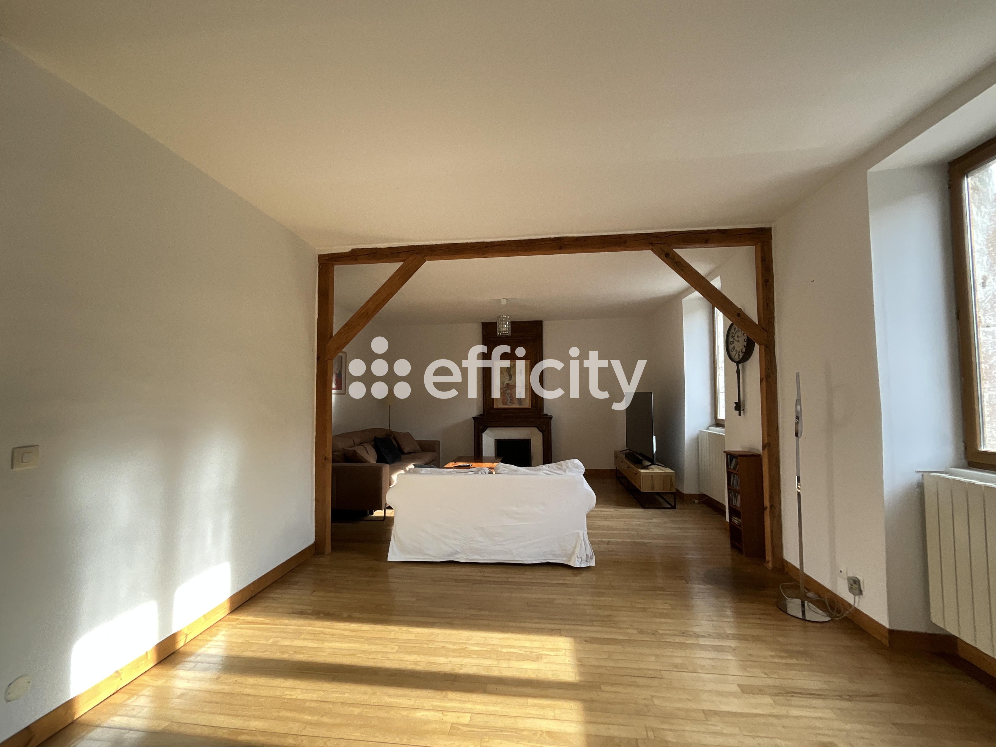 Achat immobilier Maison 13 pièces  305m2 à Saint-Julien-en-Saint-Alban (07000) - Photo n°11