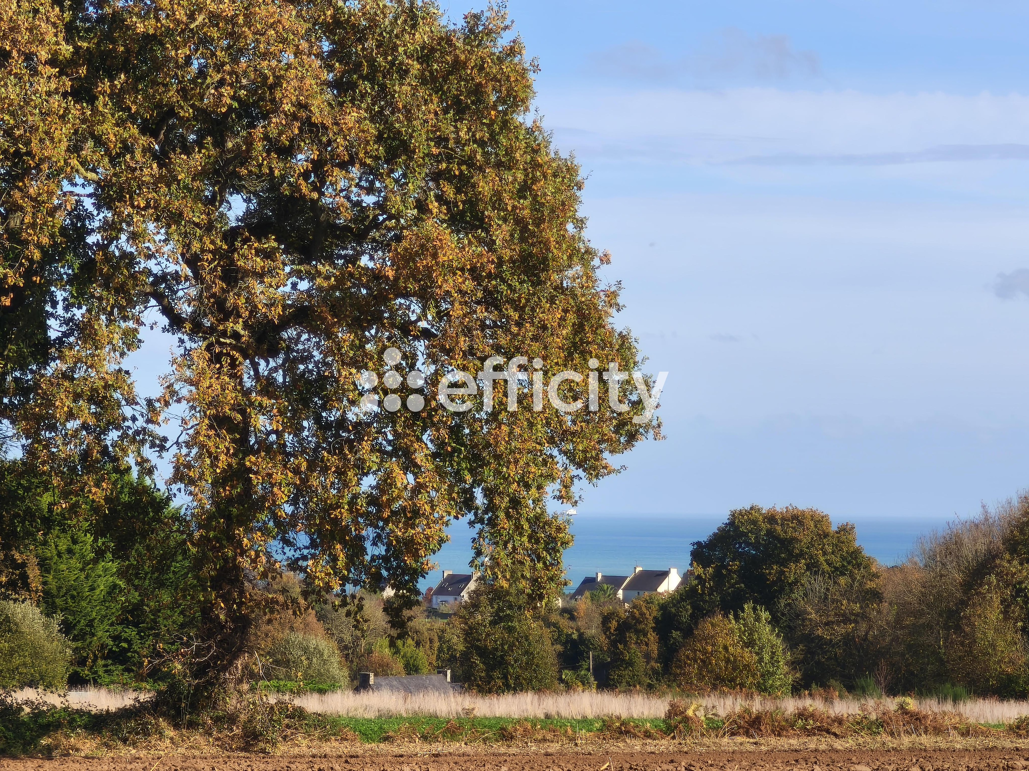 Achat immobilier Maison 6 pièces  72m2 à Saint-Cast-le-Guildo (22380) - Photo n°6