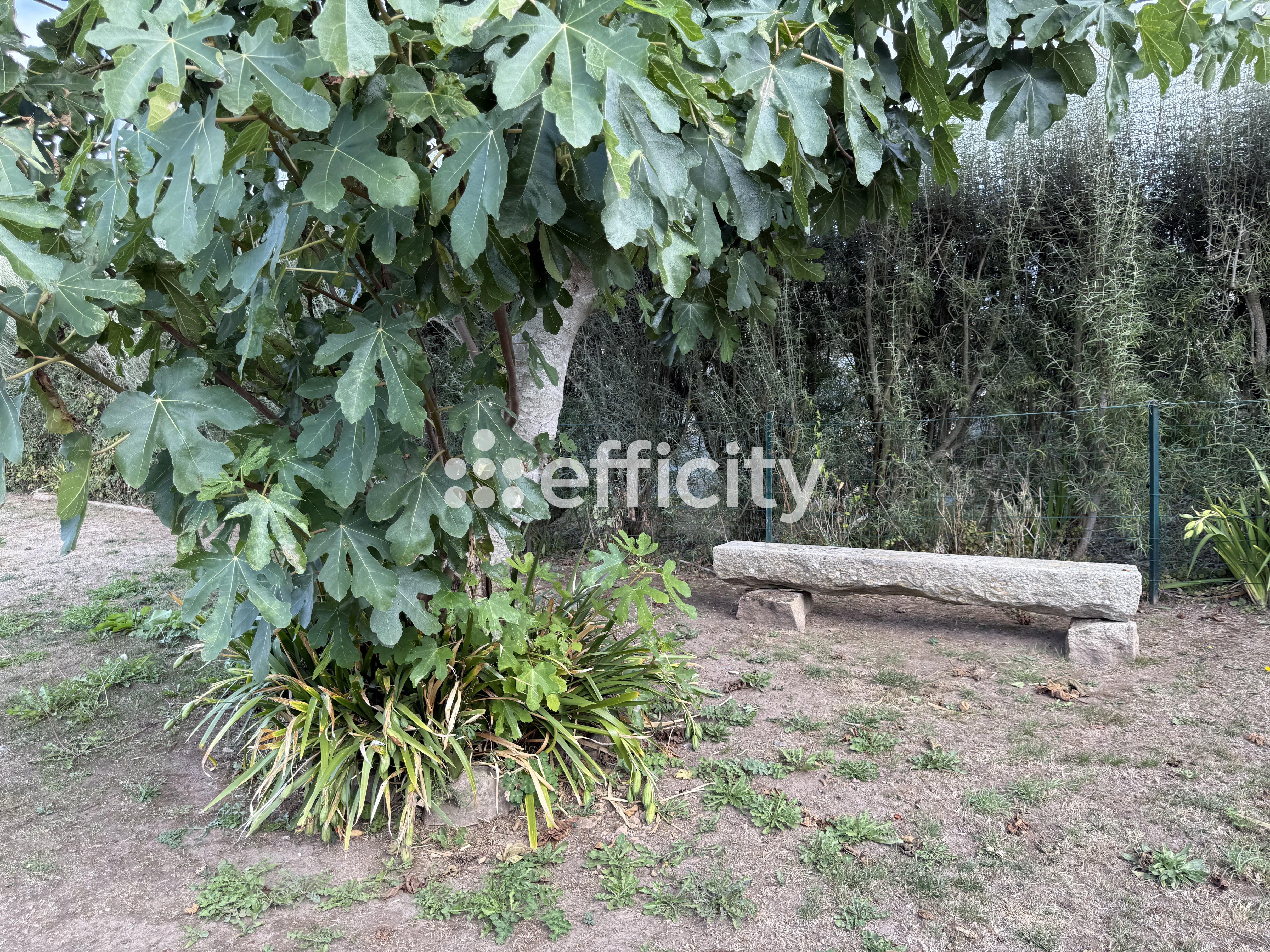 Achat immobilier Maison 5 pièces  125m2 à Paimpol (22500) - Photo n°28