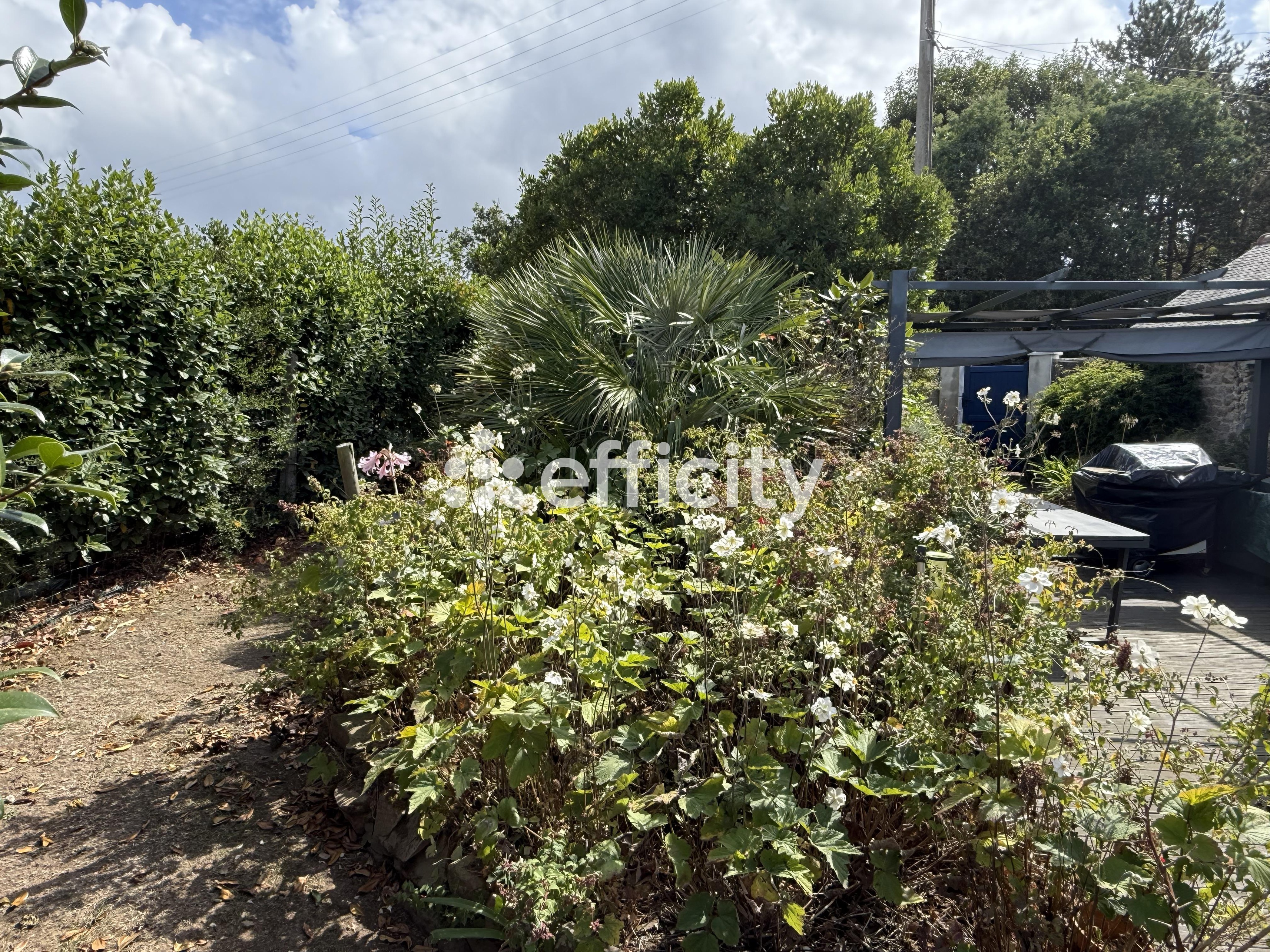 Achat immobilier Maison 5 pièces  125m2 à Paimpol (22500) - Photo n°4