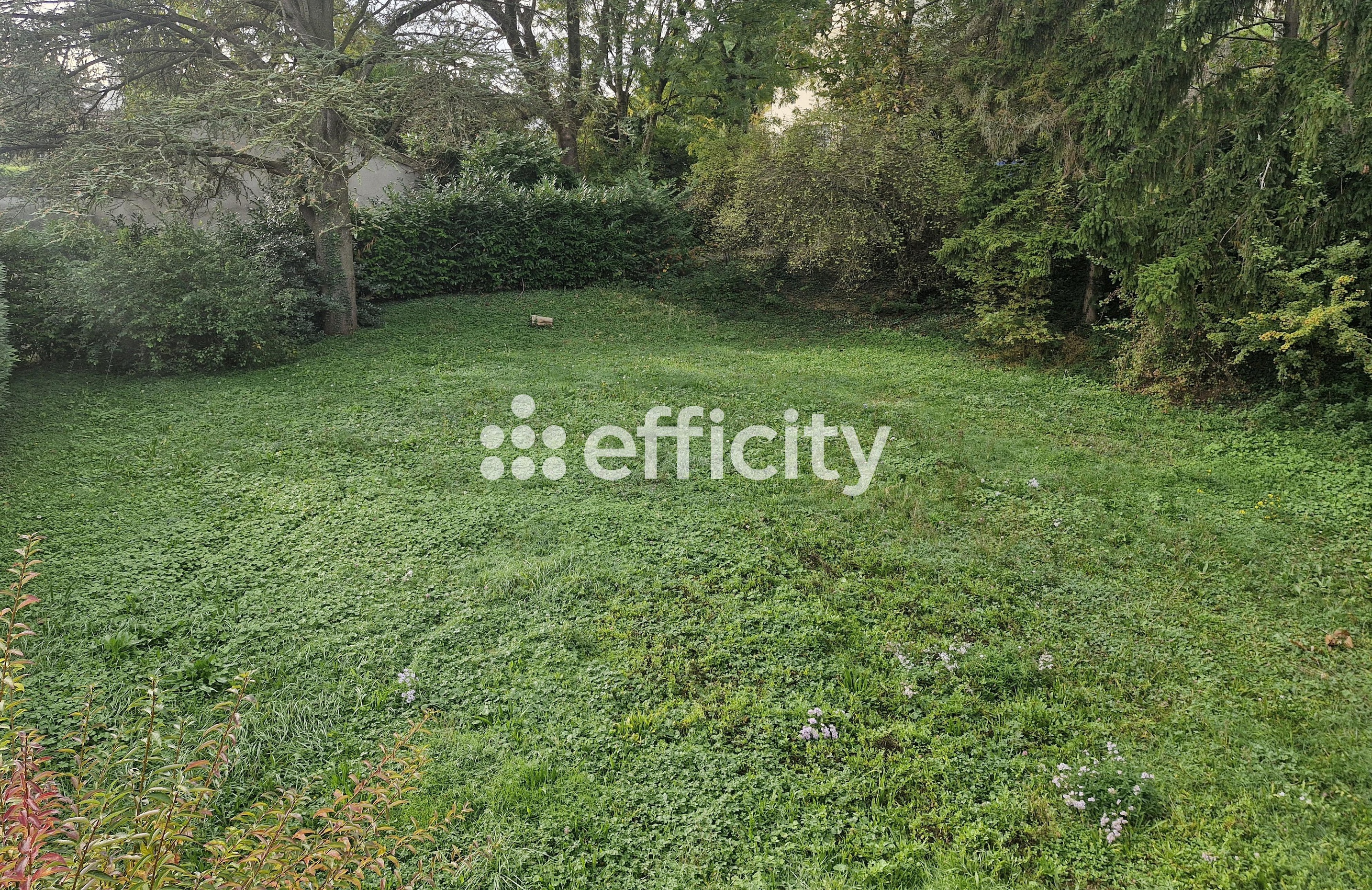 Achat immobilier Maison 6 pièces  131m2 à Lyon (69009) - Photo n°7