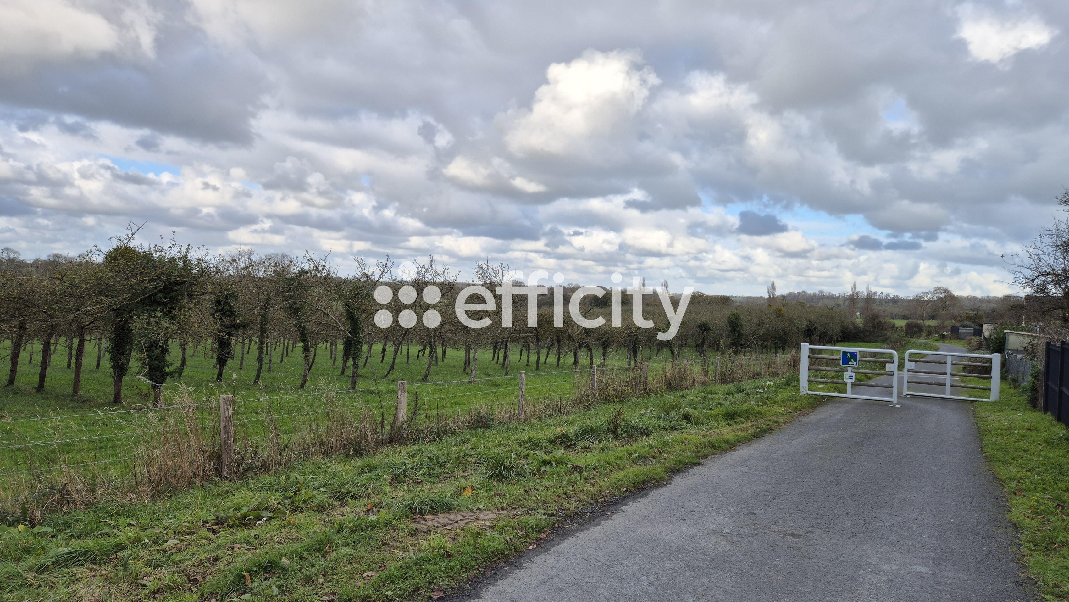 Achat immobilier Maison 4 pièces  100m2 à Maisons (14400) - Photo n°15