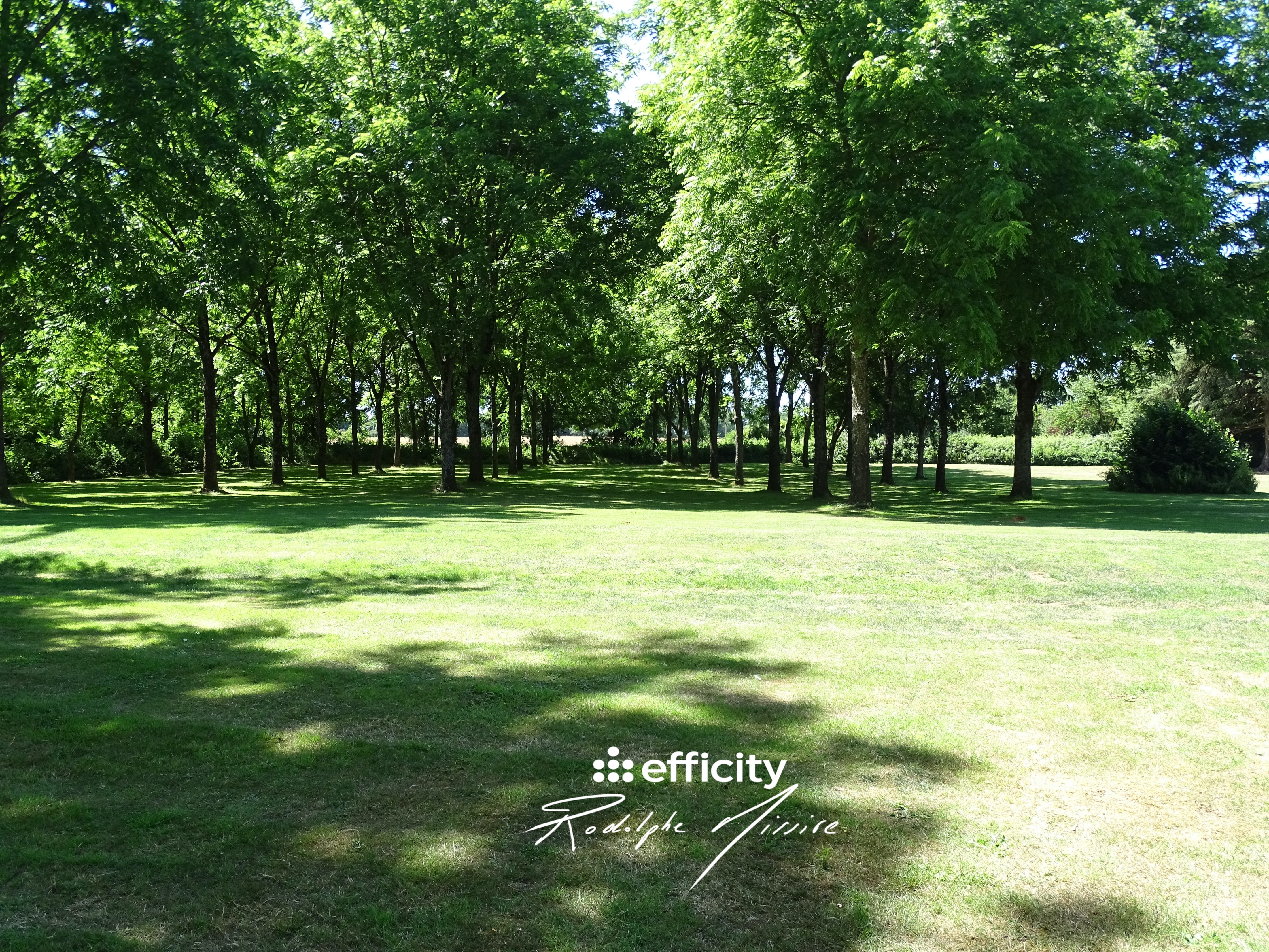 Achat immobilier Maison 30 pièces  815m2 à Coulonges-sur-l'Autize (79160) - Photo n°14