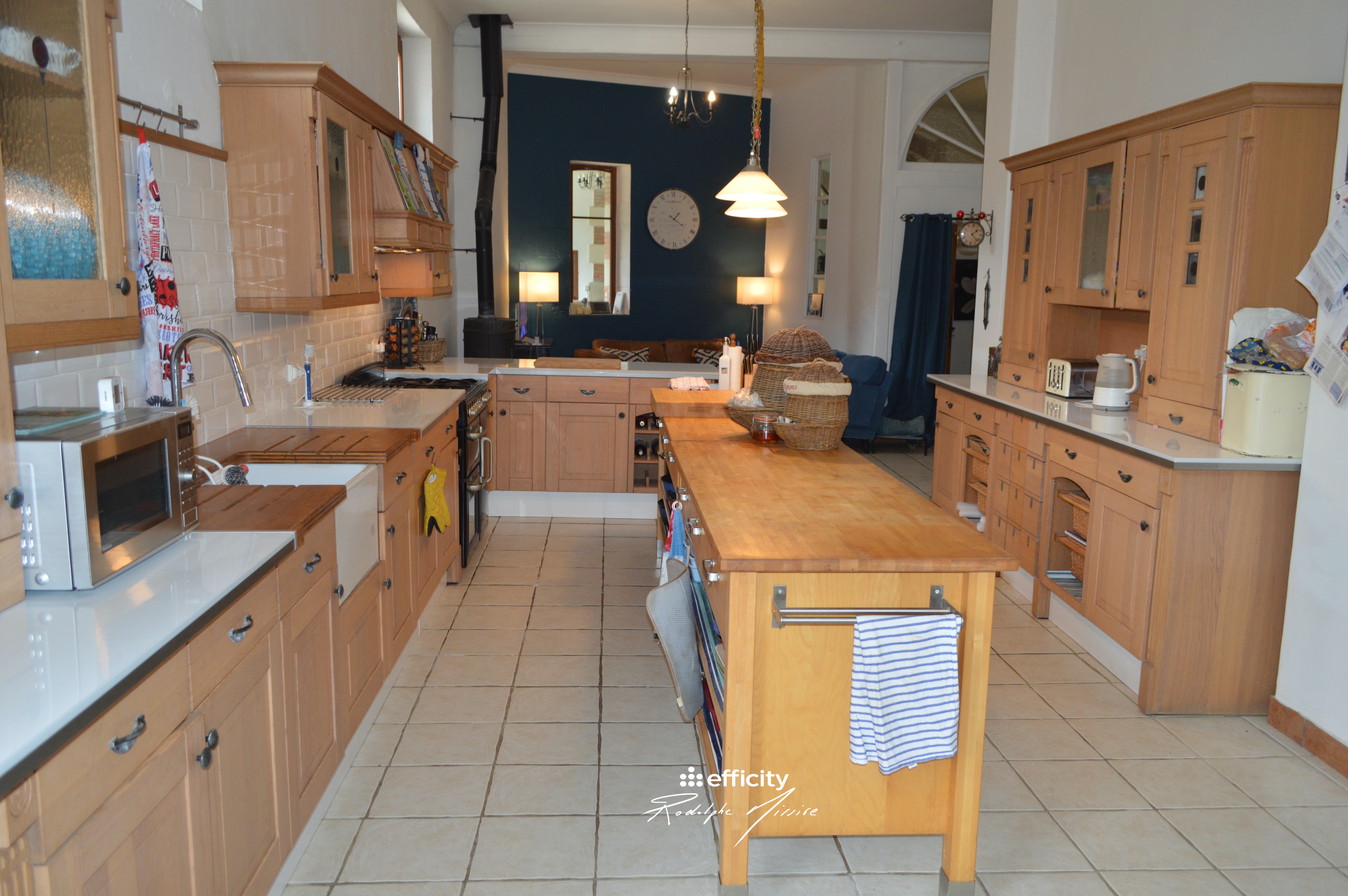 Achat immobilier Maison 30 pièces  815m2 à Coulonges-sur-l'Autize (79160) - Photo n°5