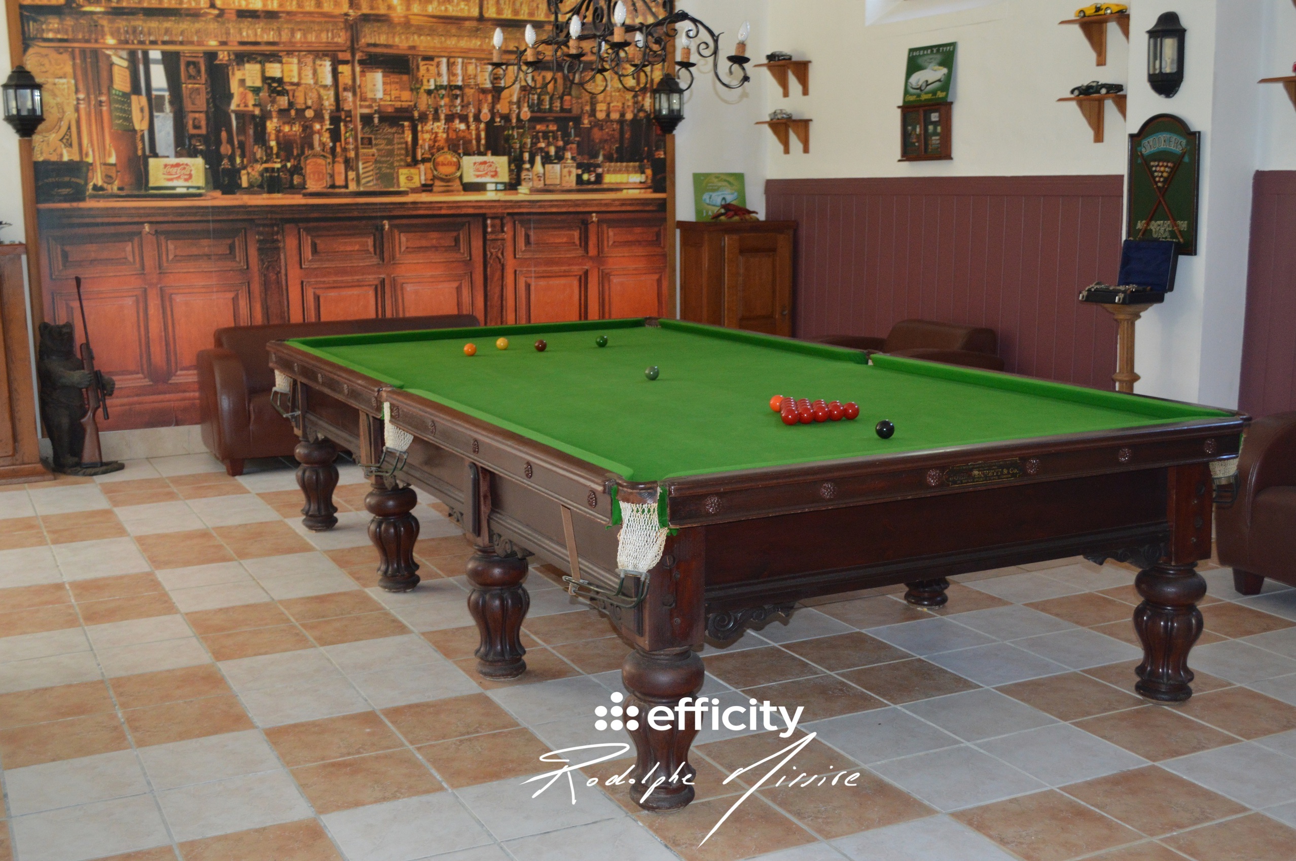 Achat immobilier Maison 30 pièces  815m2 à Coulonges-sur-l'Autize (79160) - Photo n°7