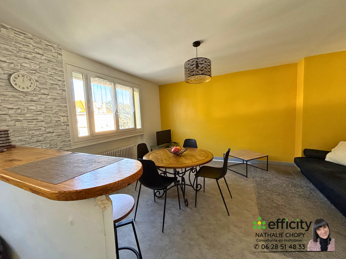 appartement 2 pièces - 49m2 à Le Chambon-Feugerolles (42500)