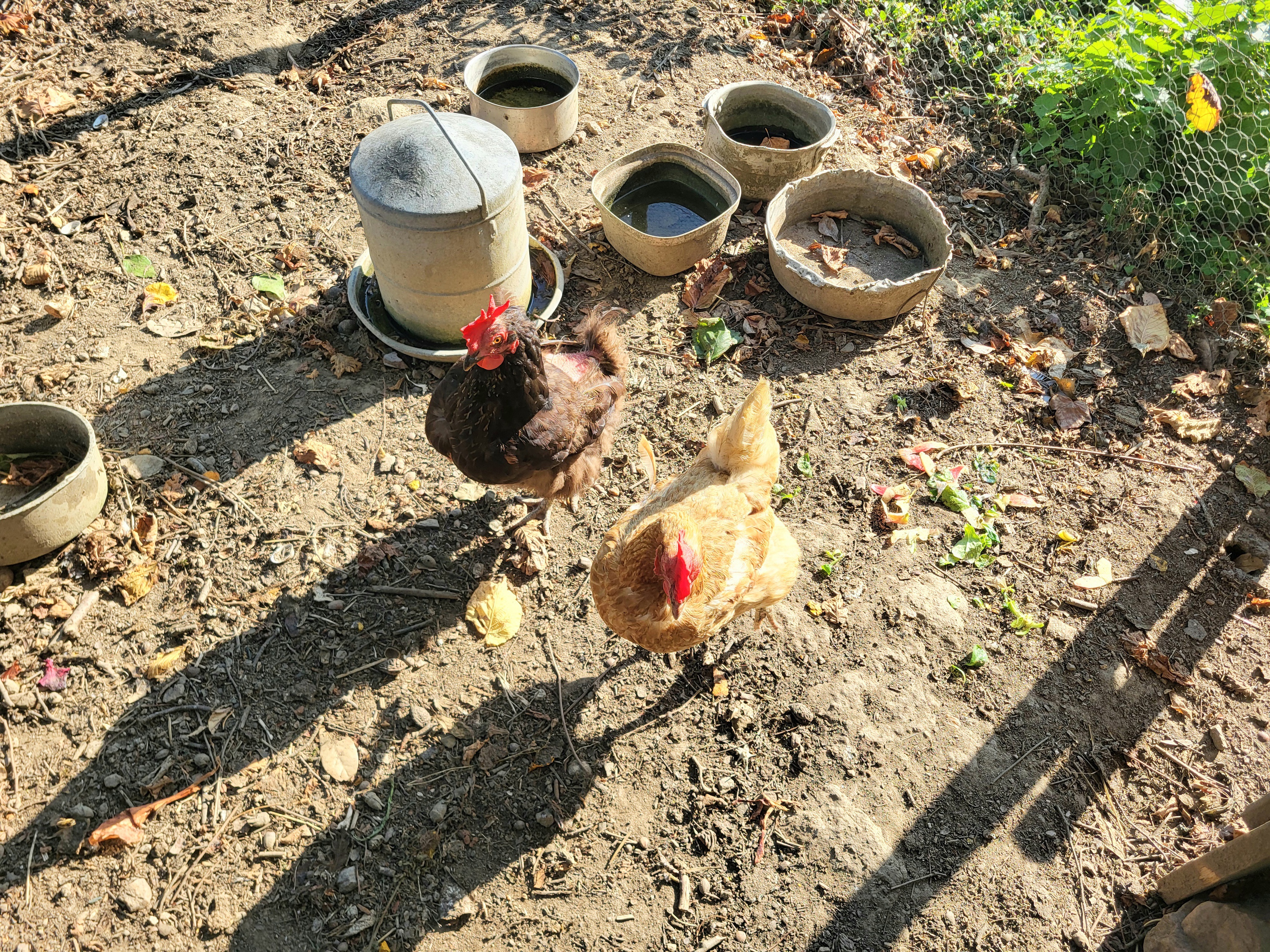 Achat immobilier Maison 5 pièces  188m2 à Le Landreau (44430) - Photo n°12