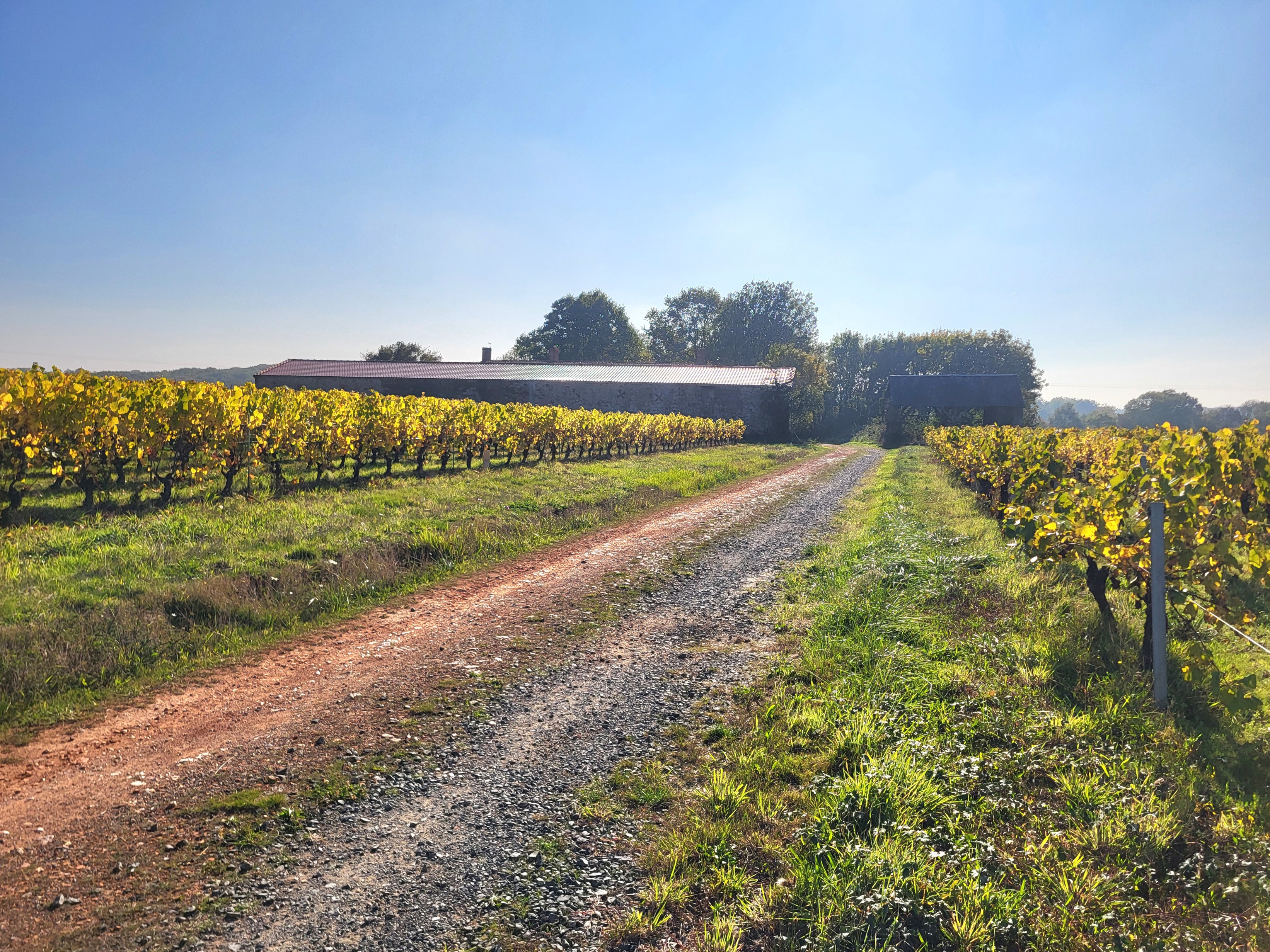 Achat immobilier Maison 5 pièces  188m2 à Le Landreau (44430) - Photo n°24