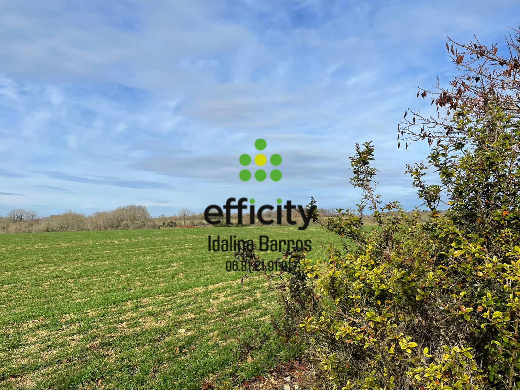 Achat immobilier Maison 10 pièces  267m2 à Valence (16460) - Photo n°26