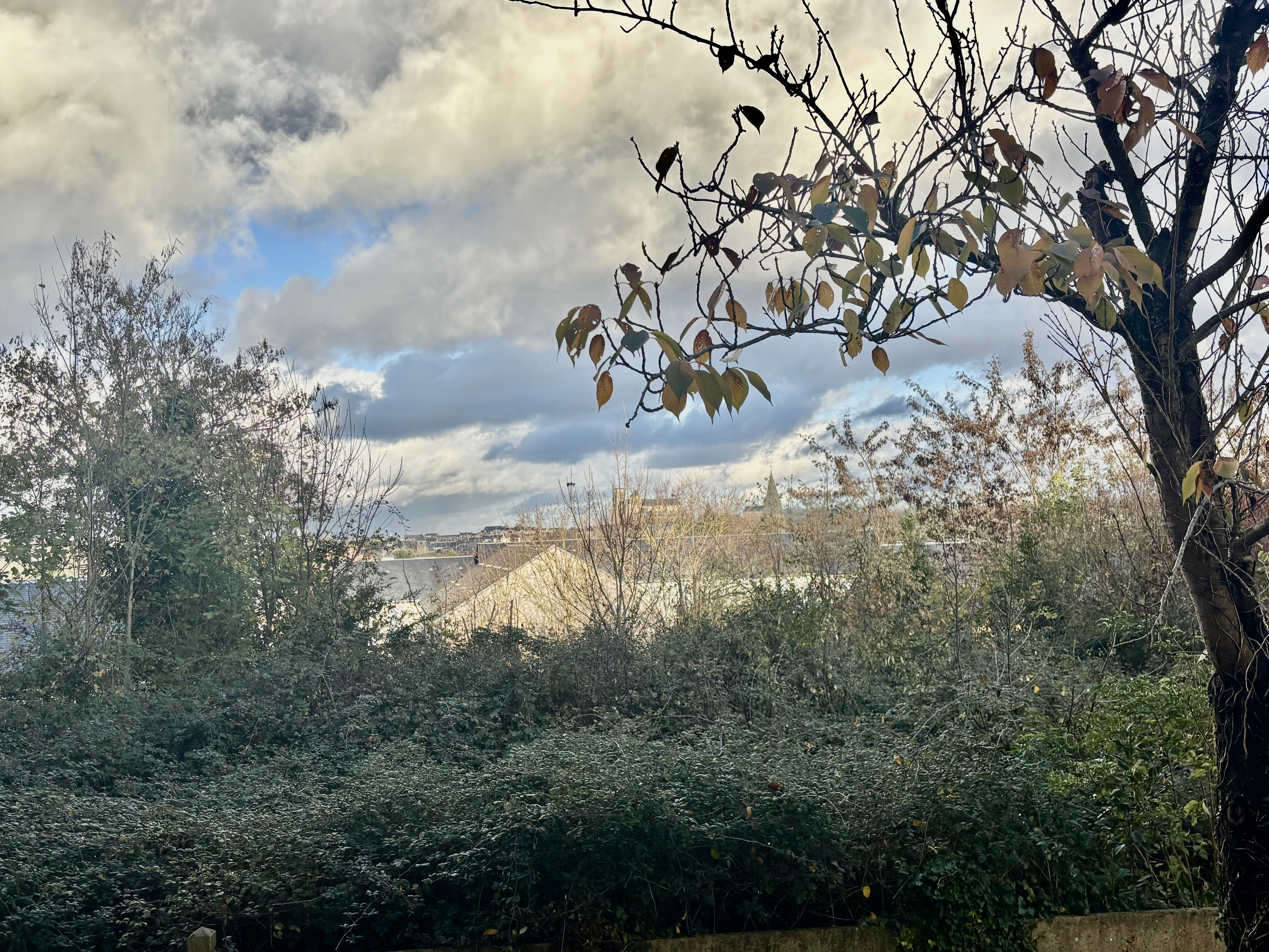 appartement 3 pièces - 55m2 à Bourges (18000)