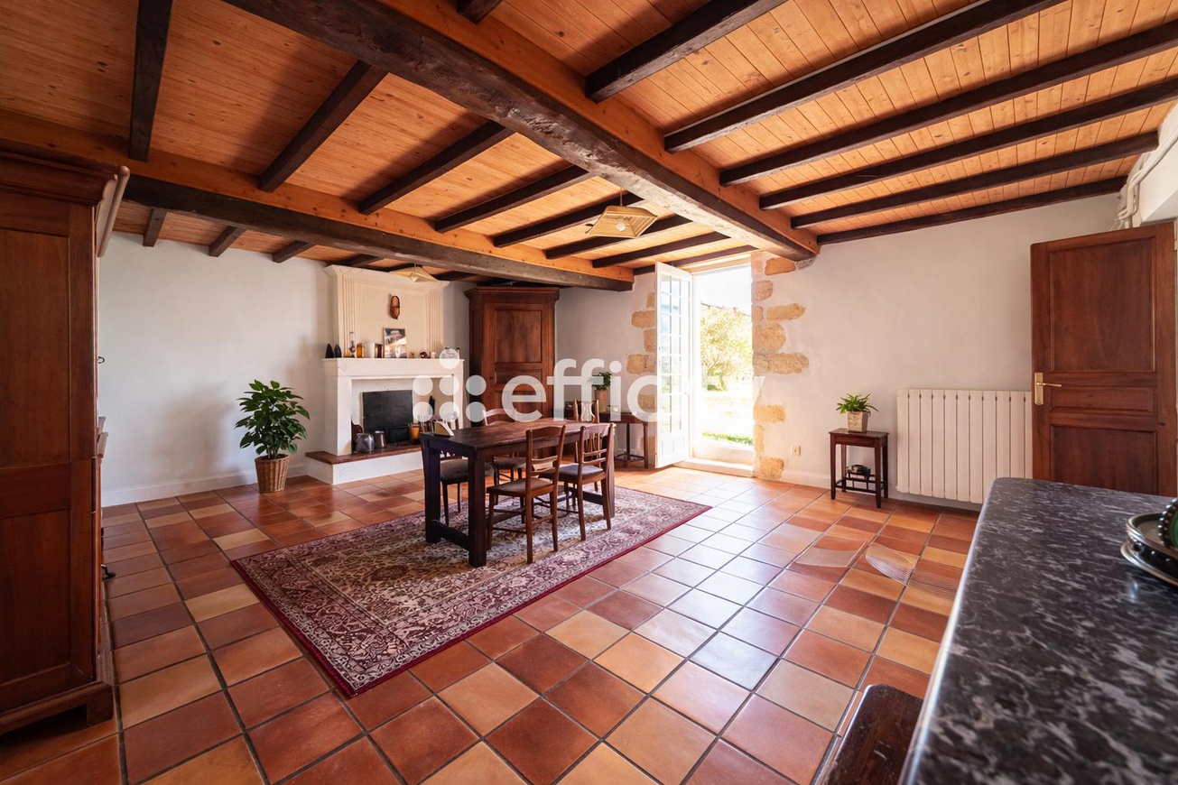 Achat immobilier Maison 5 pièces  160m2 à Meschers-sur-Gironde (17132) - Photo n°1