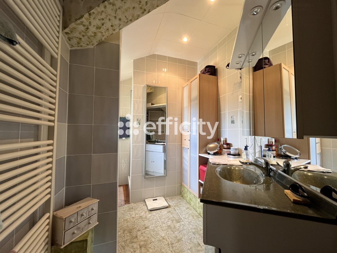 Achat immobilier Maison 9 pièces  322m2 à Le Landin (27350) - Photo n°22