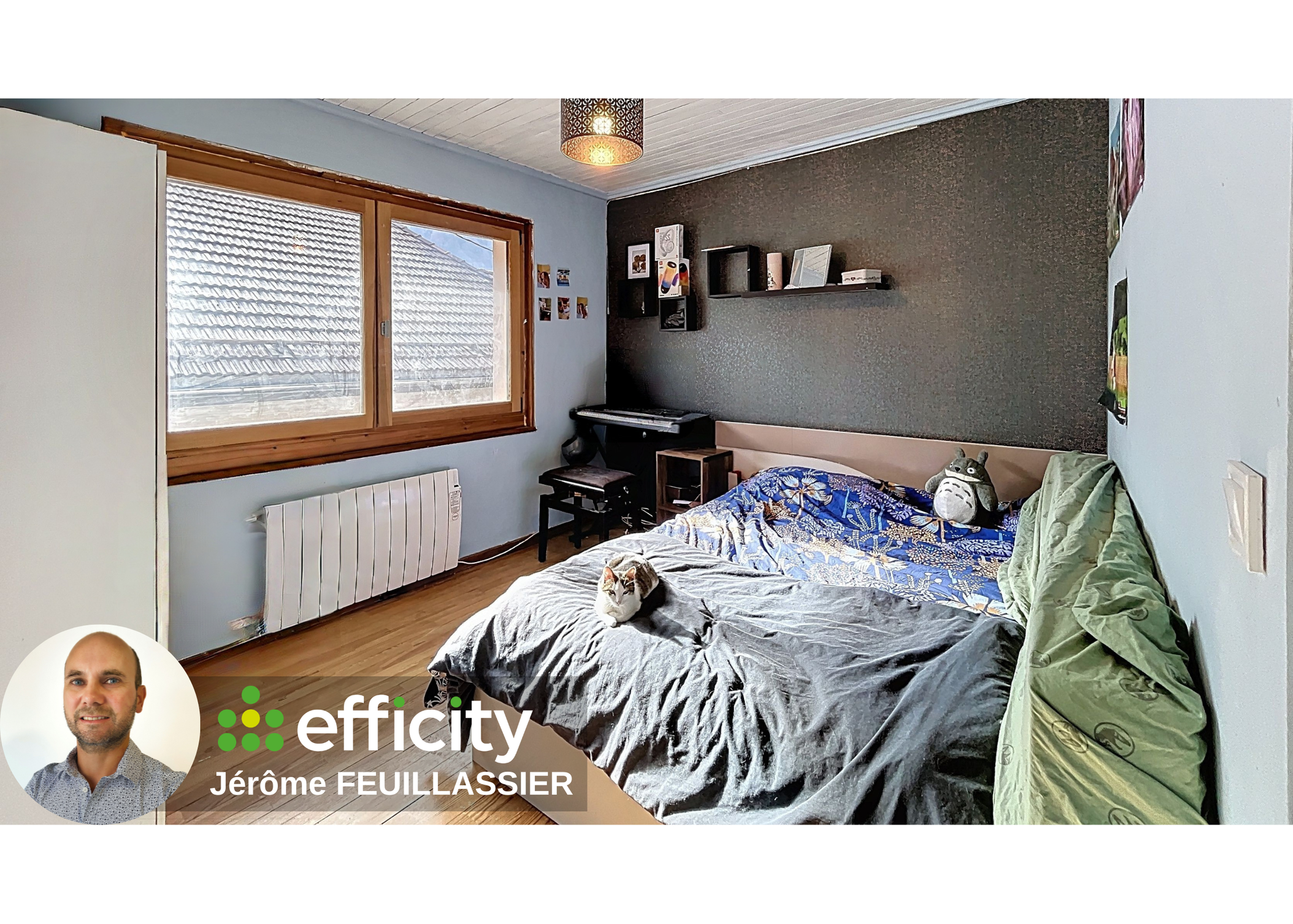 Achat immobilier Maison 5 pièces  90m2 à Saint-Jeoire (74490) - Photo n°8