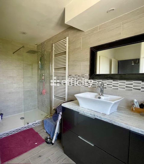 Achat immobilier Maison 6 pièces  155m2 à Saint-Maurice-l'Exil (38550) - Photo n°20