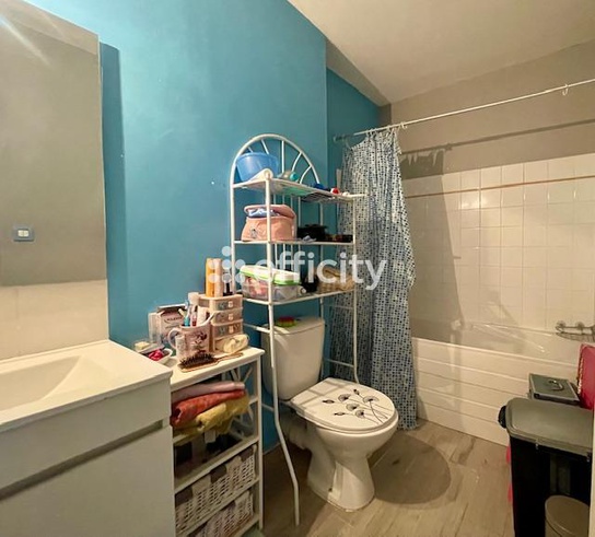 Achat immobilier Maison 6 pièces  155m2 à Saint-Maurice-l'Exil (38550) - Photo n°26