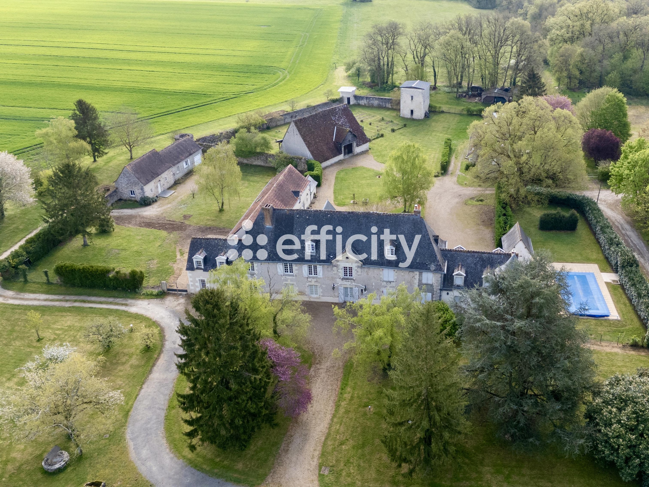 Achat immobilier Maison 22 pièces  680m2 à Truyes (37320) - Photo n°1