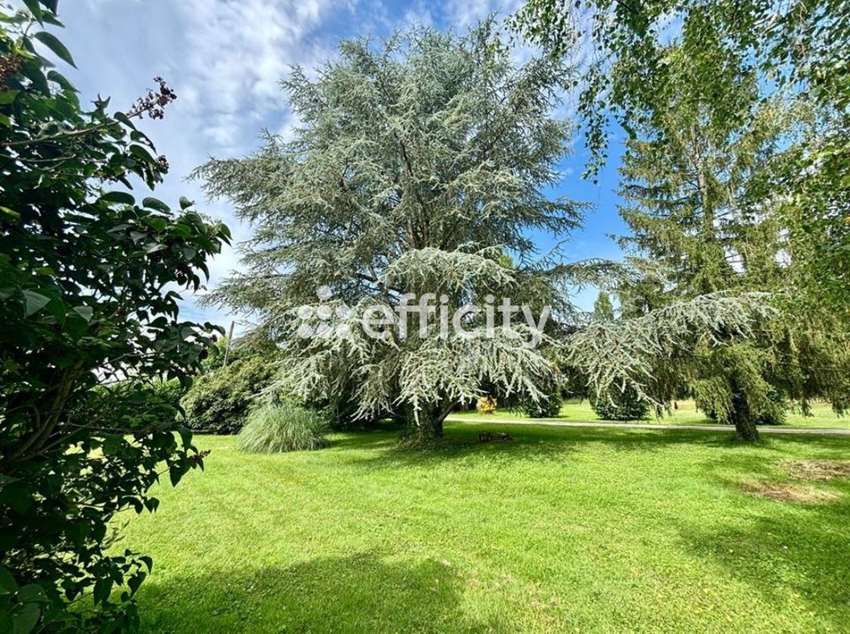 Achat immobilier Maison 22 pièces  680m2 à Truyes (37320) - Photo n°6