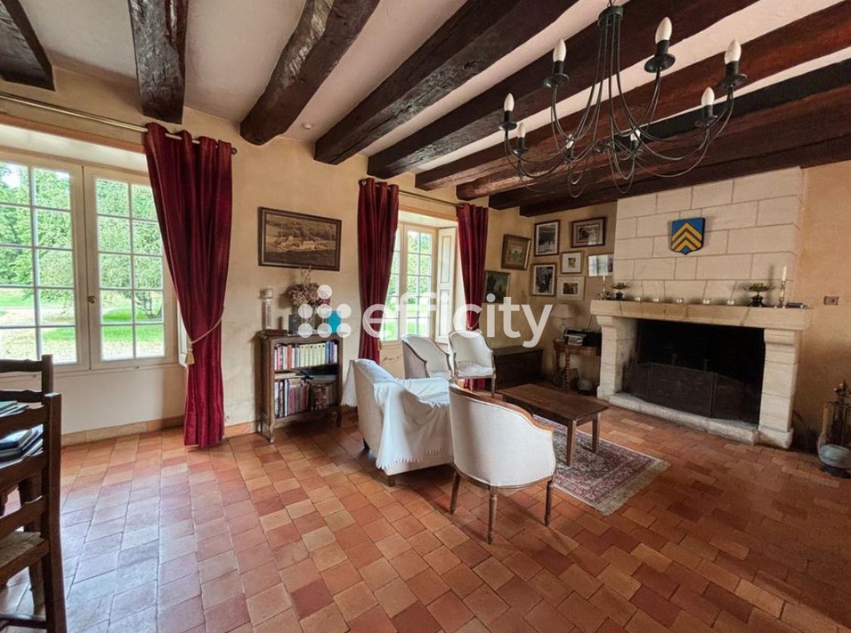 Achat immobilier Maison 22 pièces  680m2 à Truyes (37320) - Photo n°4