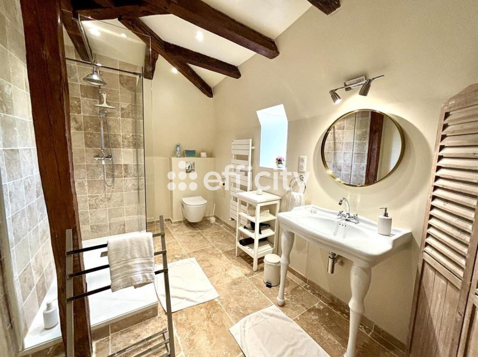 Achat immobilier Maison 22 pièces  680m2 à Truyes (37320) - Photo n°5