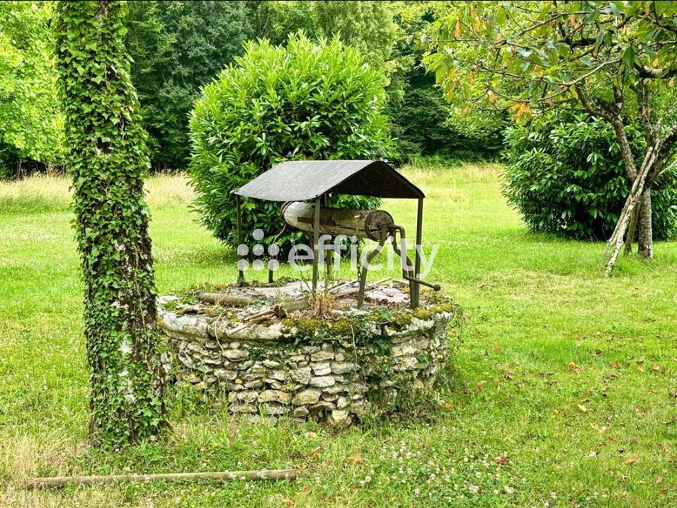 Achat immobilier Maison 22 pièces  680m2 à Truyes (37320) - Photo n°7
