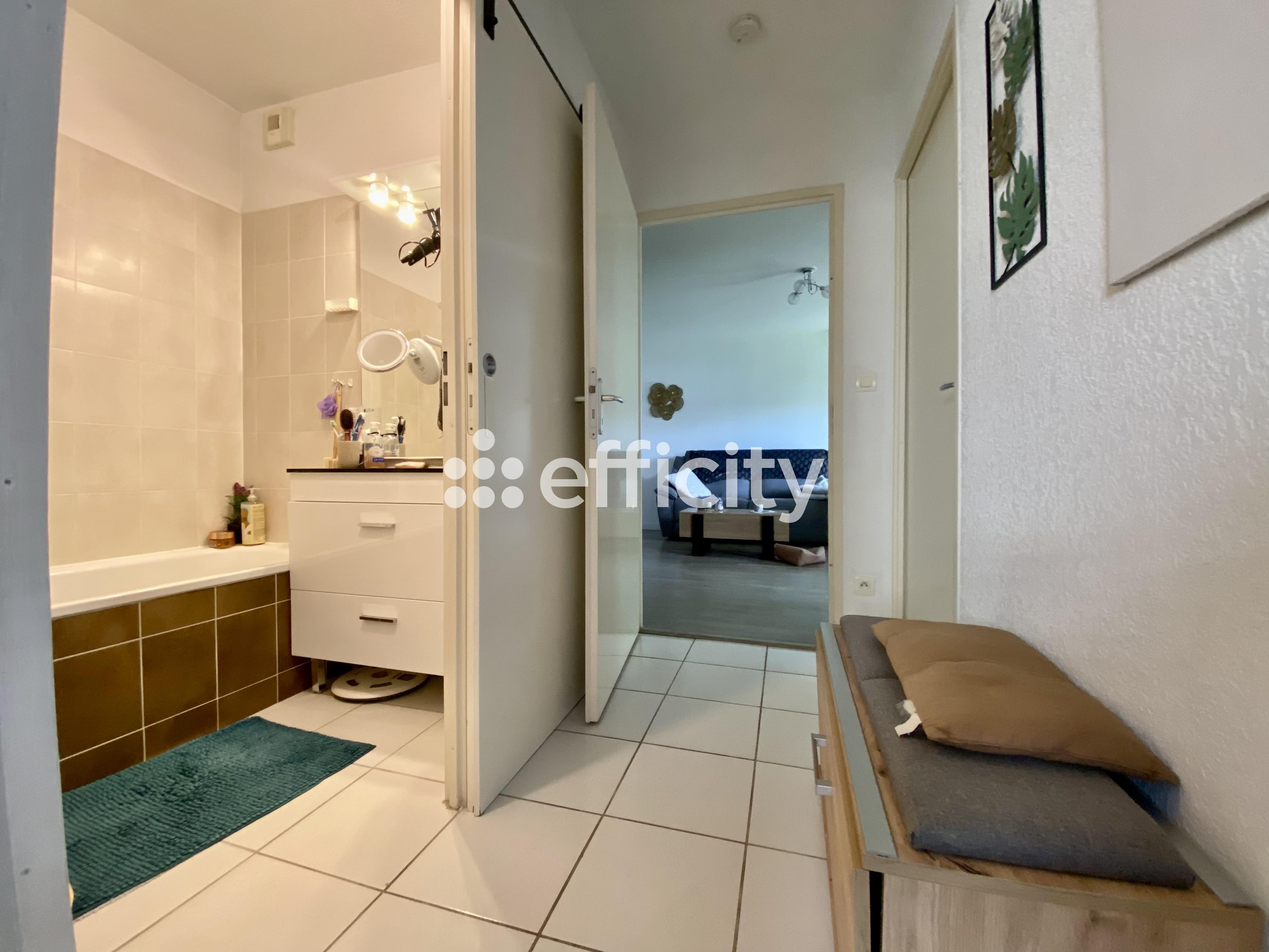 Achat immobilier Appartement 3 pièces  60m2 à Toulouse (31200) - Photo n°19