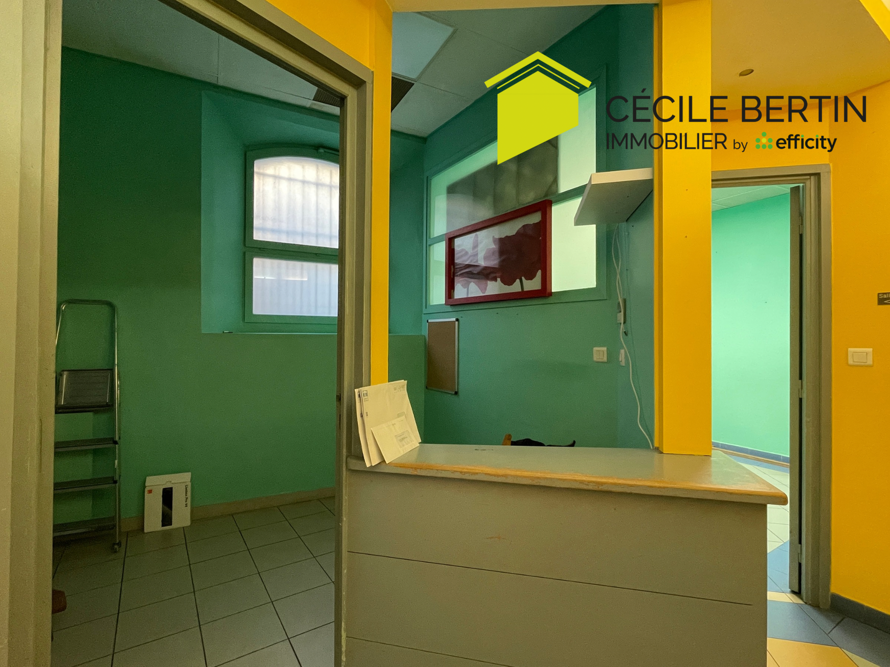 Achat immobilier Local commercial 3 pièces  52m2 à Arles (13200) - Photo n°5