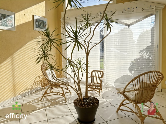 maison 8 pièces - 181m2 à Taillis (35500)