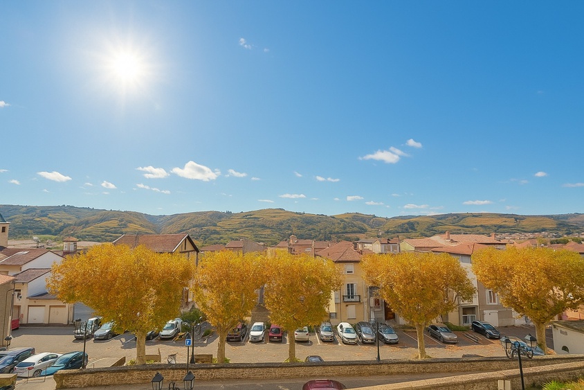 appartement 10 pièces - 200m2 à Saint-Vallier (26240)