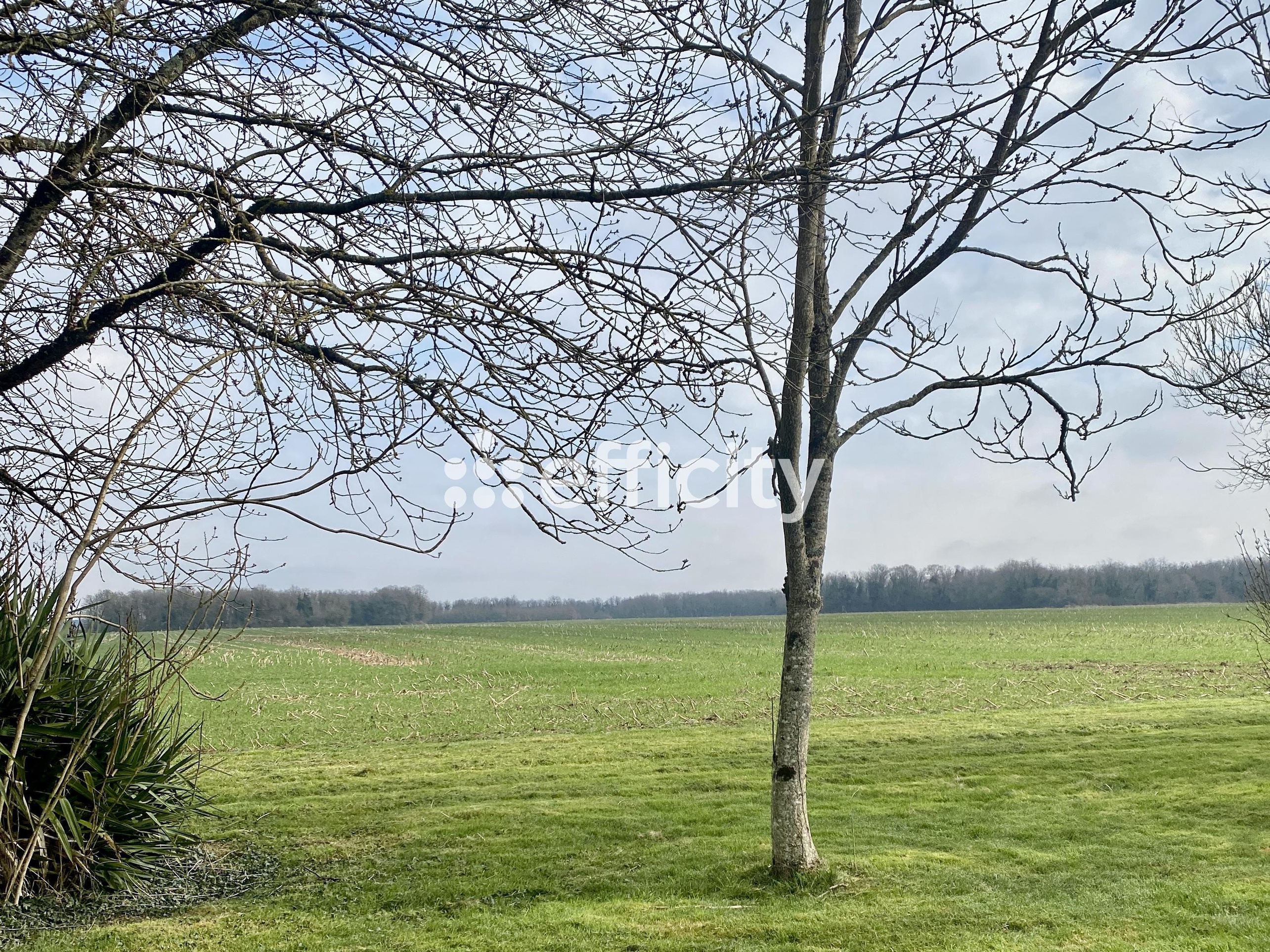 Achat immobilier Terrain   860000m2 à Truyes (37320) - Photo n°1