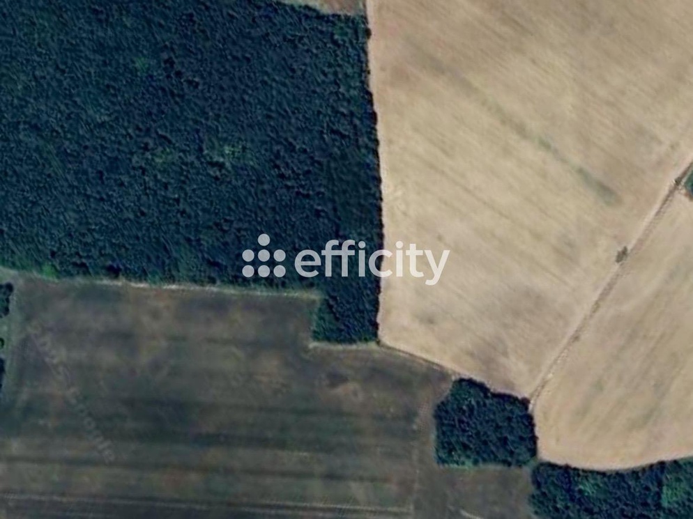 Achat immobilier Terrain   860000m2 à Truyes (37320) - Photo n°4