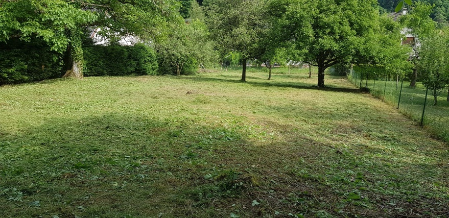 terrain  - 800m2 à Thann (68800)