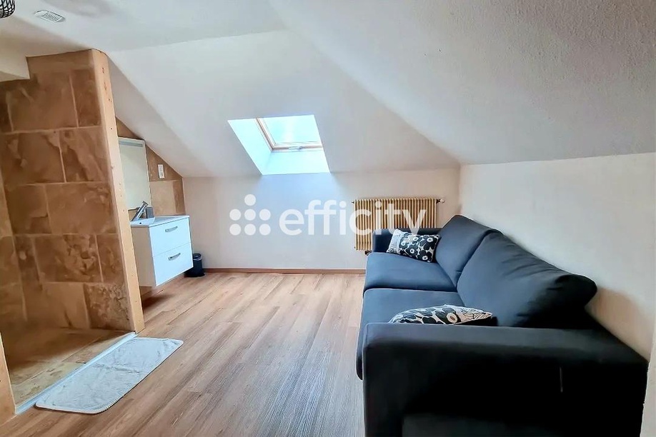 Achat immobilier Immeuble 11 pièces  347m2 à Cluny (71250) - Photo n°19