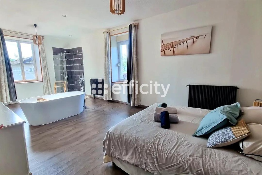 Achat immobilier Immeuble 11 pièces  347m2 à Cluny (71250) - Photo n°6