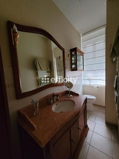 Achat immobilier Immeuble 9 pièces  208m2 à Roubaix (59100) - Photo n°6