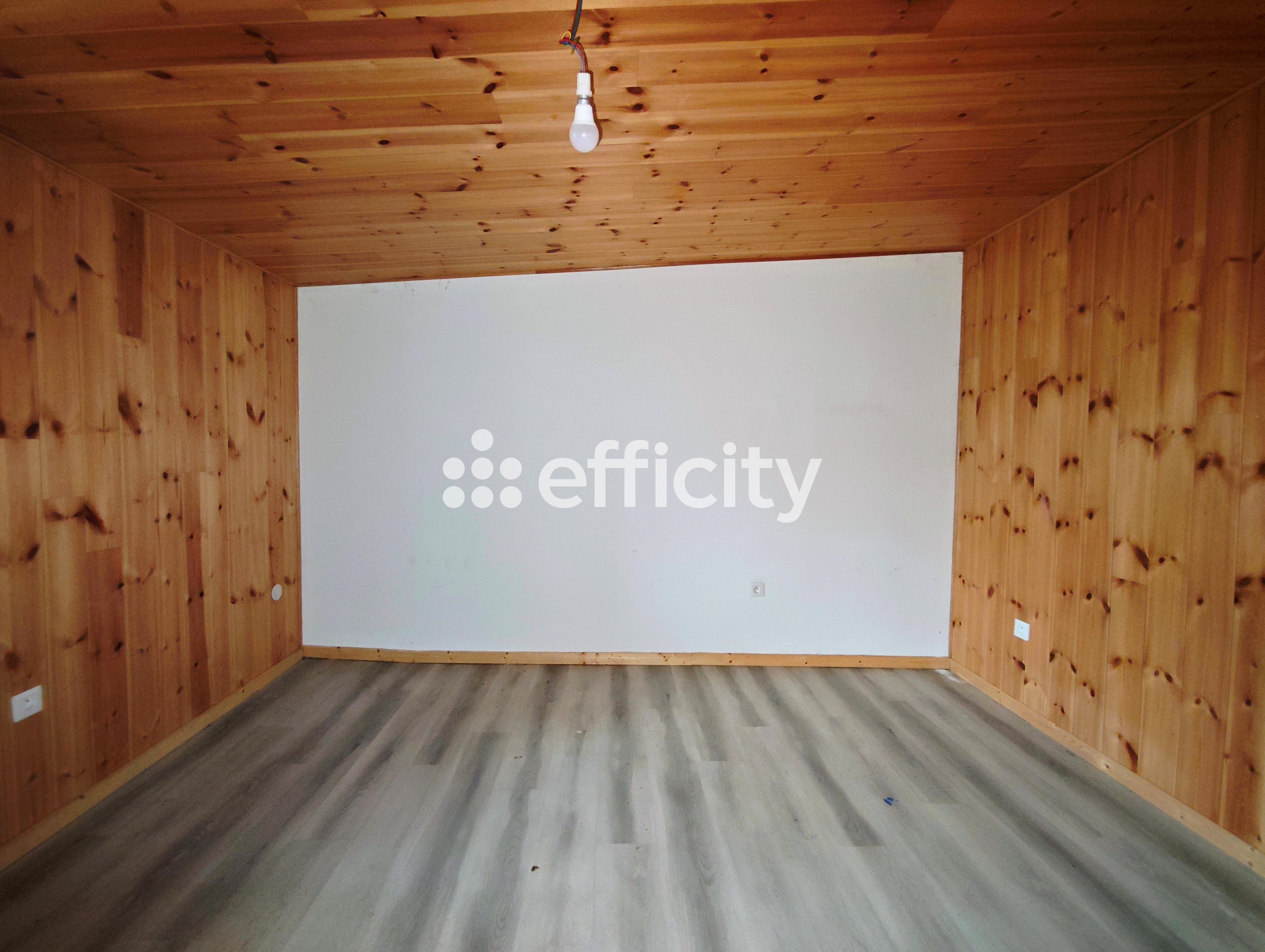 Achat immobilier Maison 3 pièces  70m2 à Saint-Firmin (05800) - Photo n°6