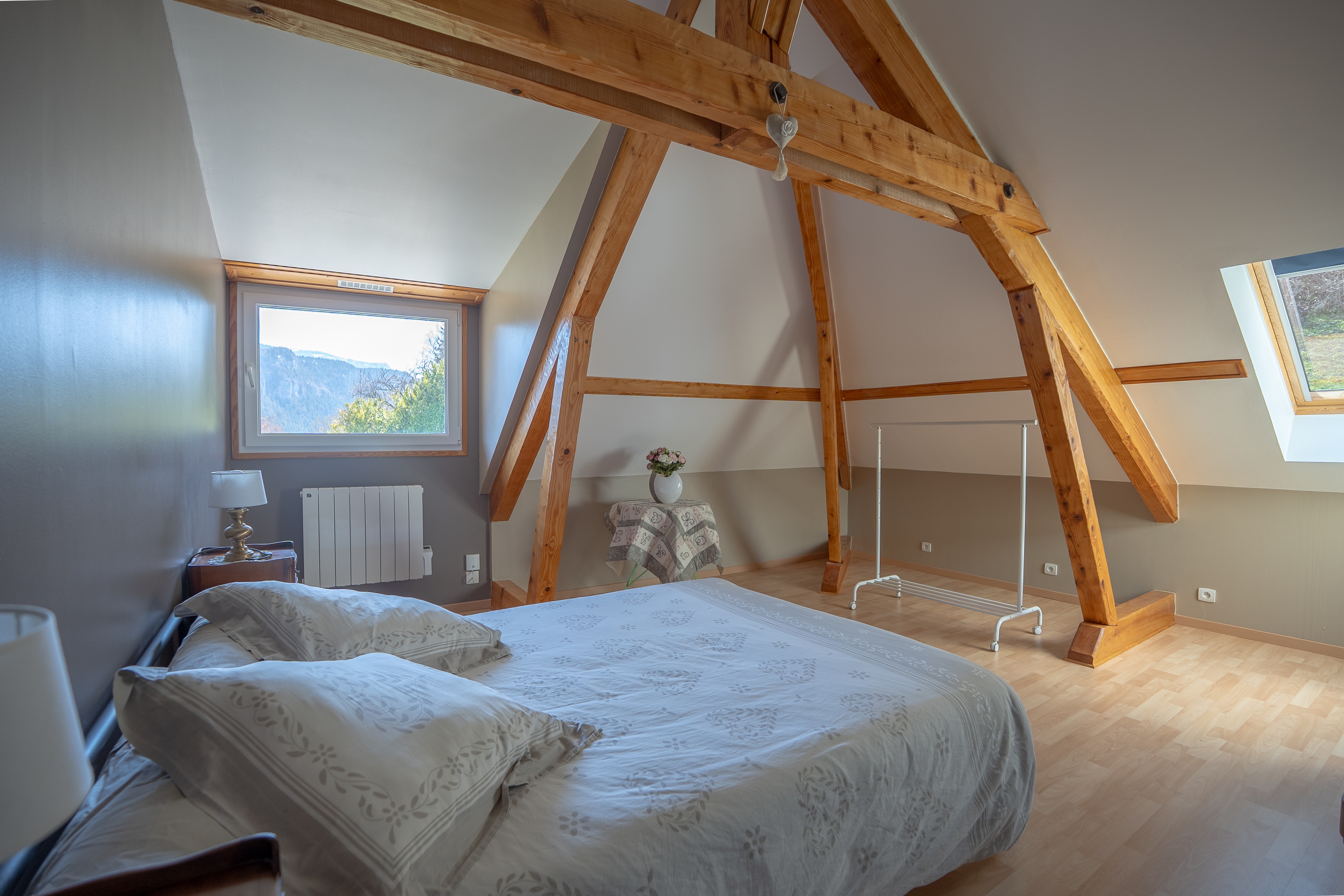Achat immobilier Maison 8 pièces  250m2 à Engins (38360) - Photo n°9