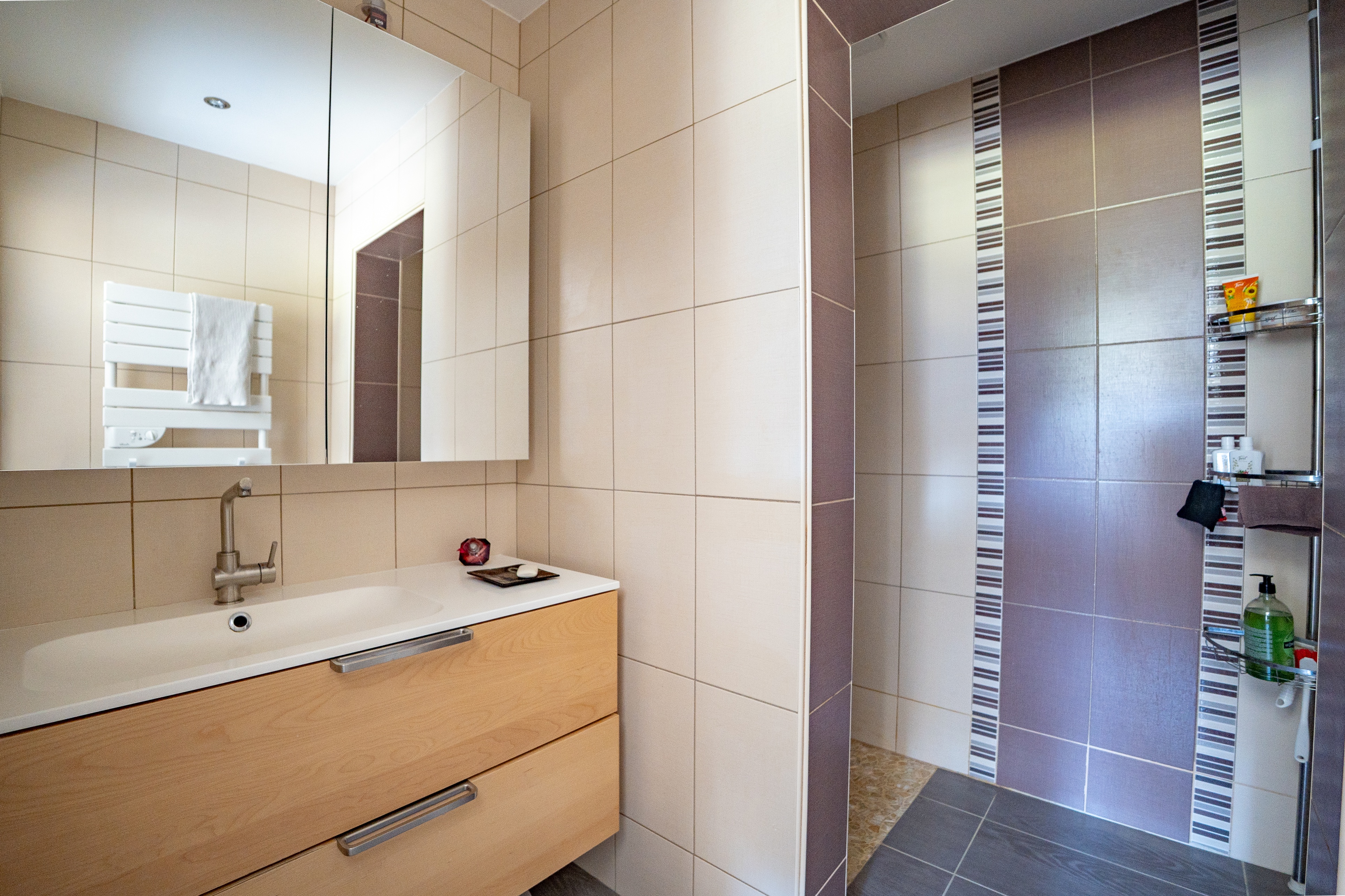 Achat immobilier Maison 8 pièces  250m2 à Engins (38360) - Photo n°7
