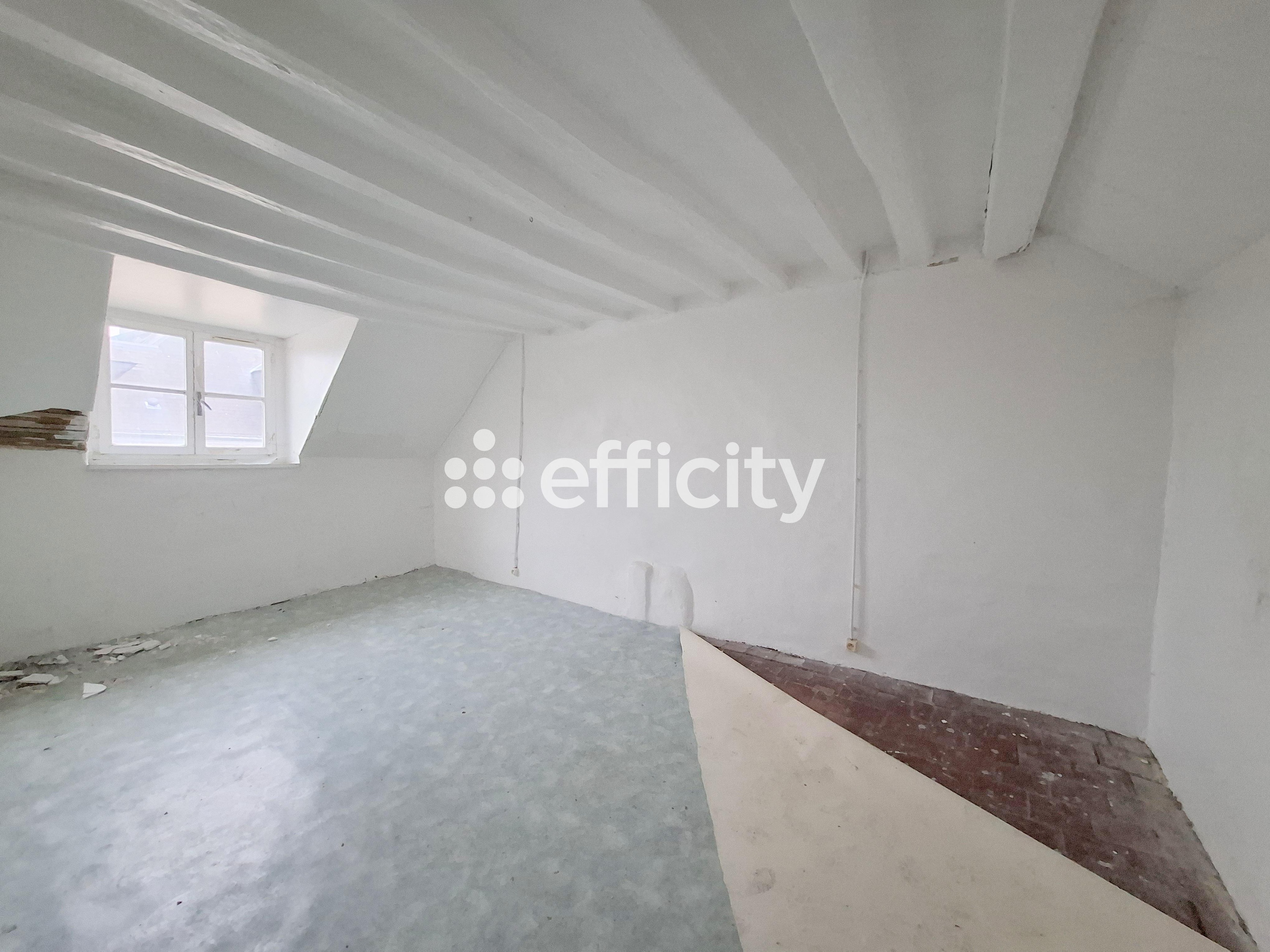 Achat immobilier Maison 9 pièces  153m2 à Mamers (72600) - Photo n°10