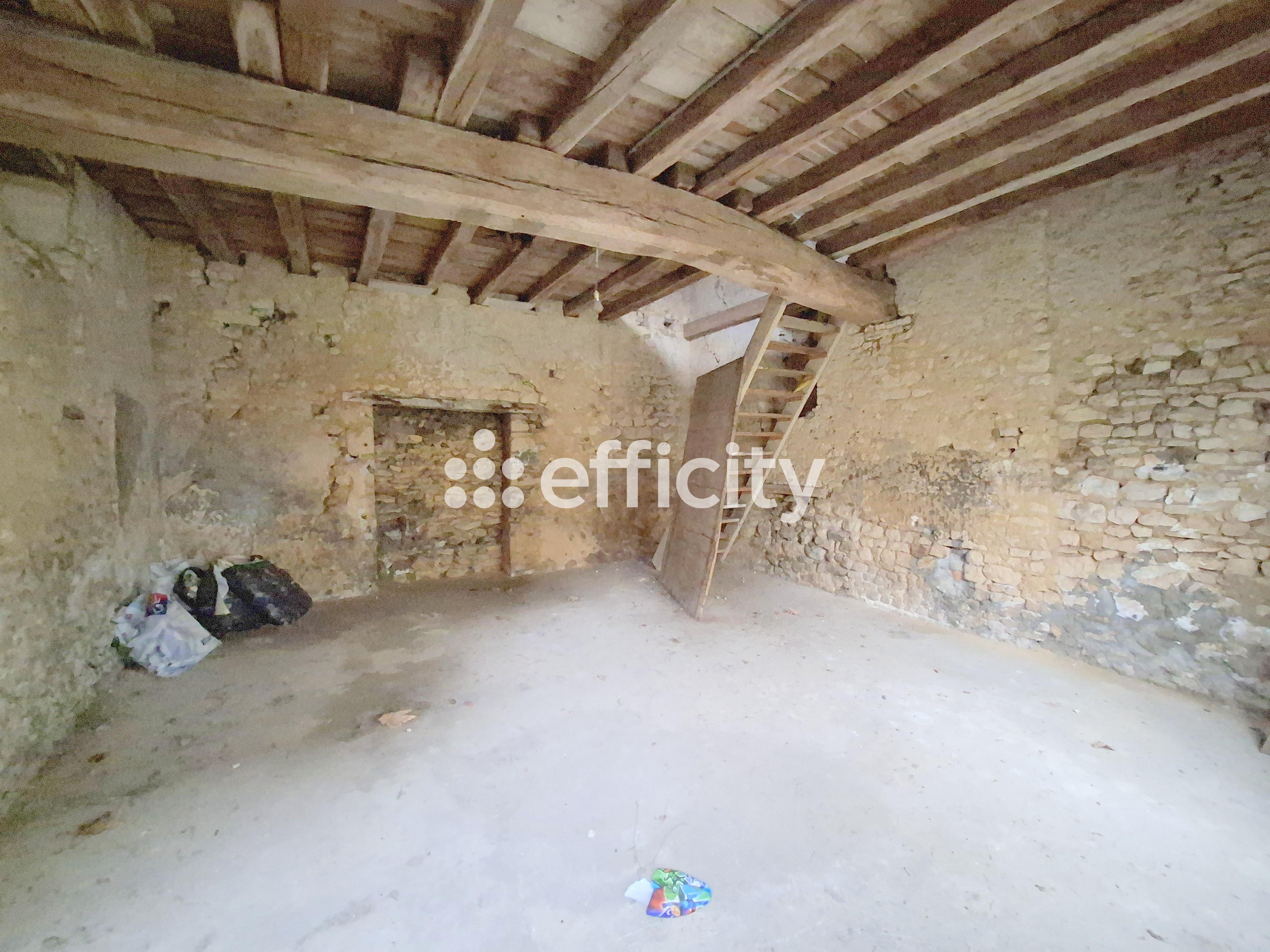 Achat immobilier Maison 9 pièces  153m2 à Mamers (72600) - Photo n°19