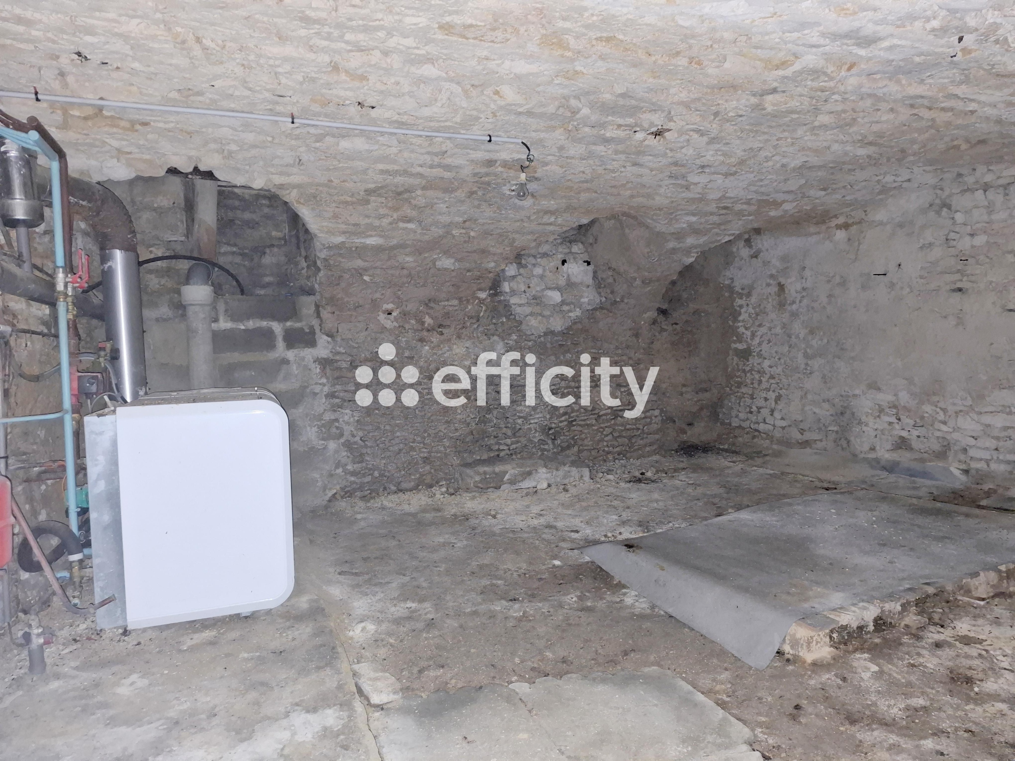 Achat immobilier Maison 9 pièces  153m2 à Mamers (72600) - Photo n°20