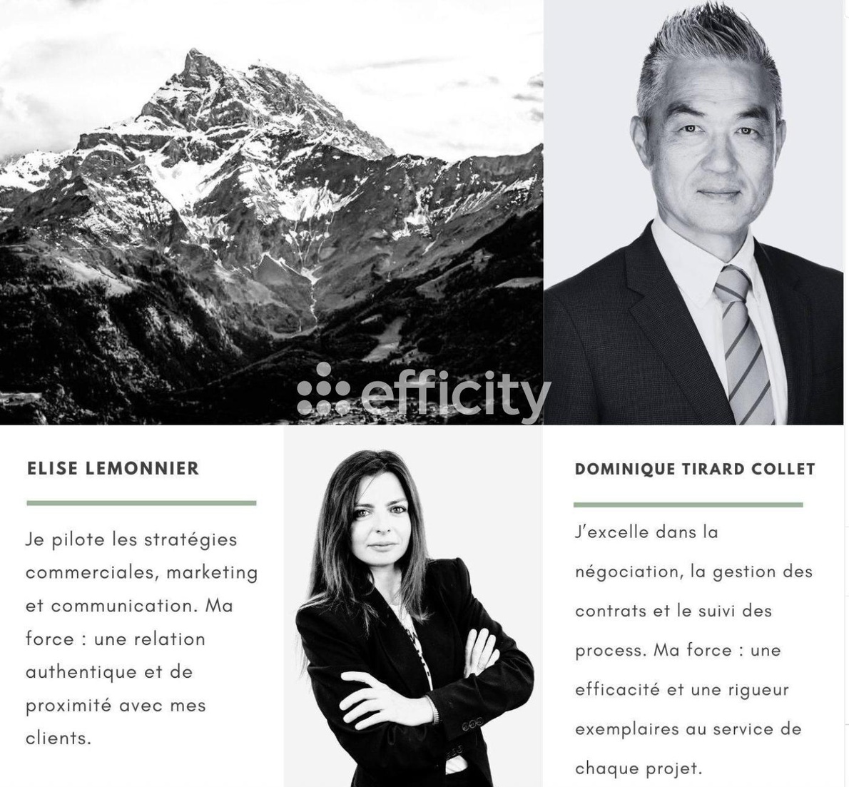 Achat immobilier Appartement 2 pièces  47m2 à Gaillard (74240) - Photo n°12