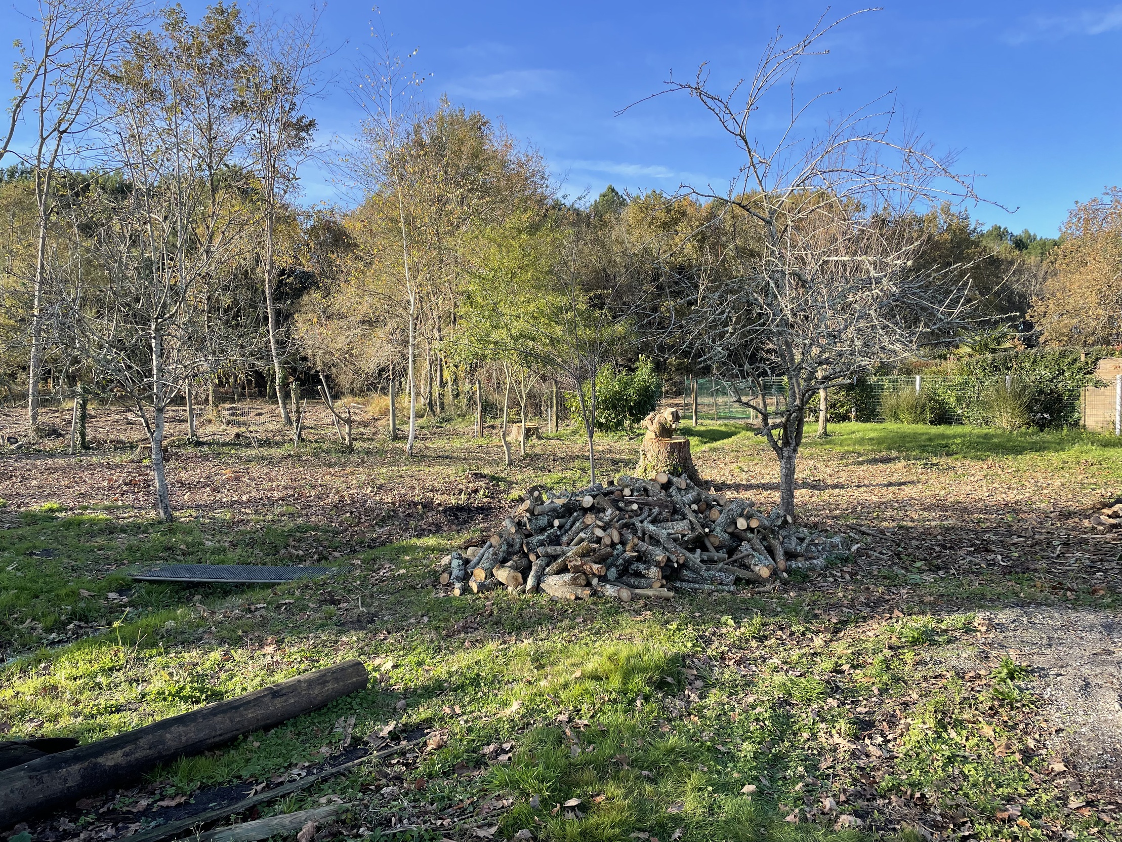 terrain  - 800m2 à Aureilhan (40200)