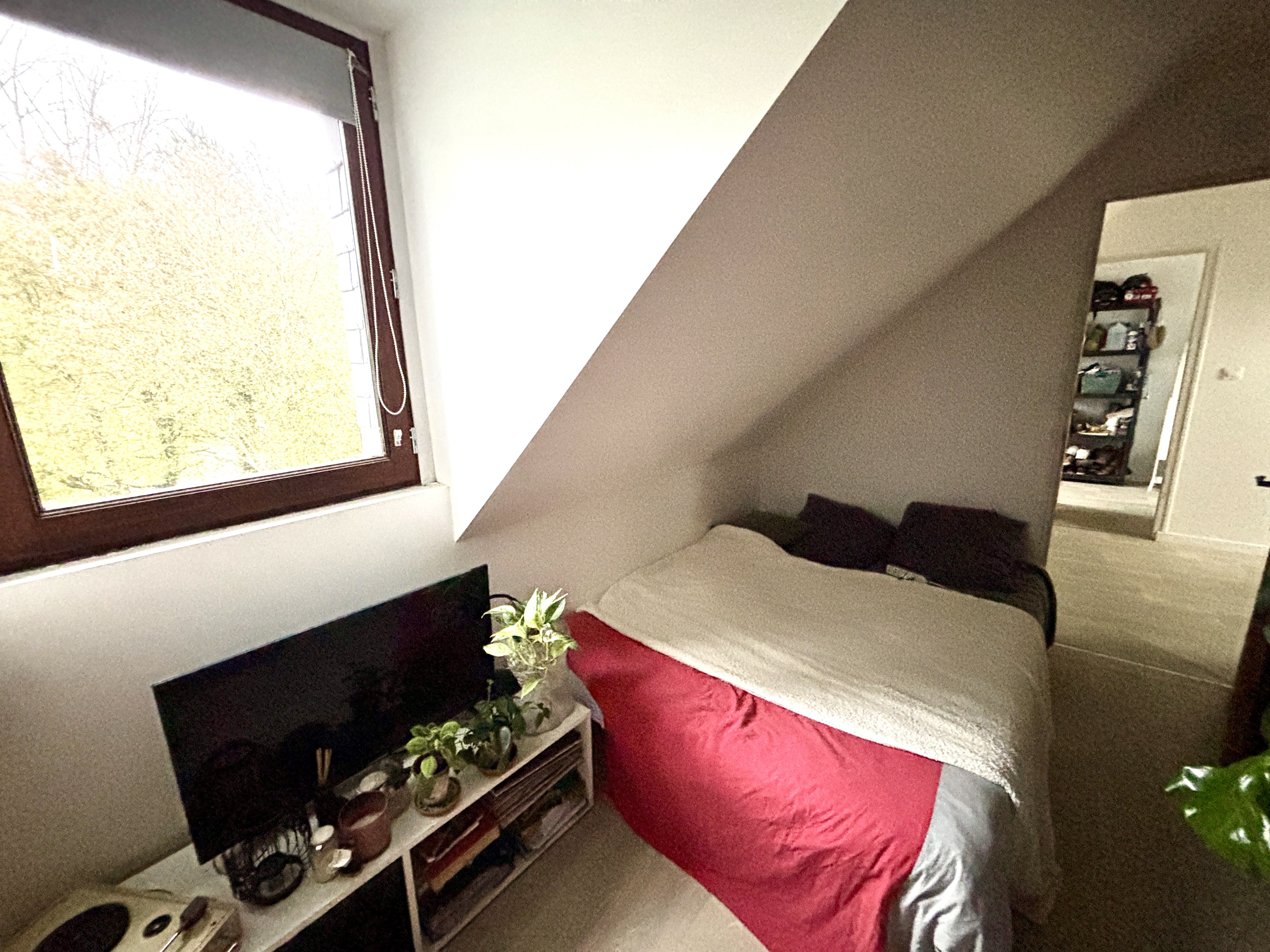 Achat immobilier Maison 5 pièces  120m2 à Lignol (56160) - Photo n°4