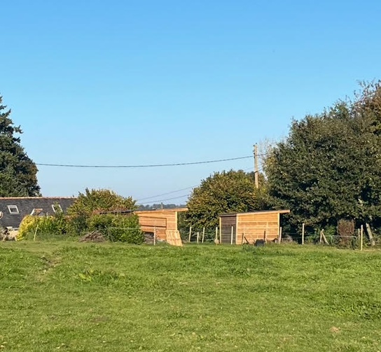 Achat immobilier Maison 5 pièces  120m2 à Lignol (56160) - Photo n°8