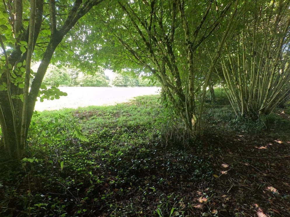 Achat immobilier Maison 5 pièces  120m2 à Lignol (56160) - Photo n°6