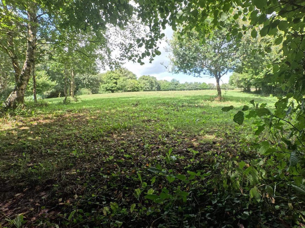 Achat immobilier Maison 5 pièces  120m2 à Lignol (56160) - Photo n°7