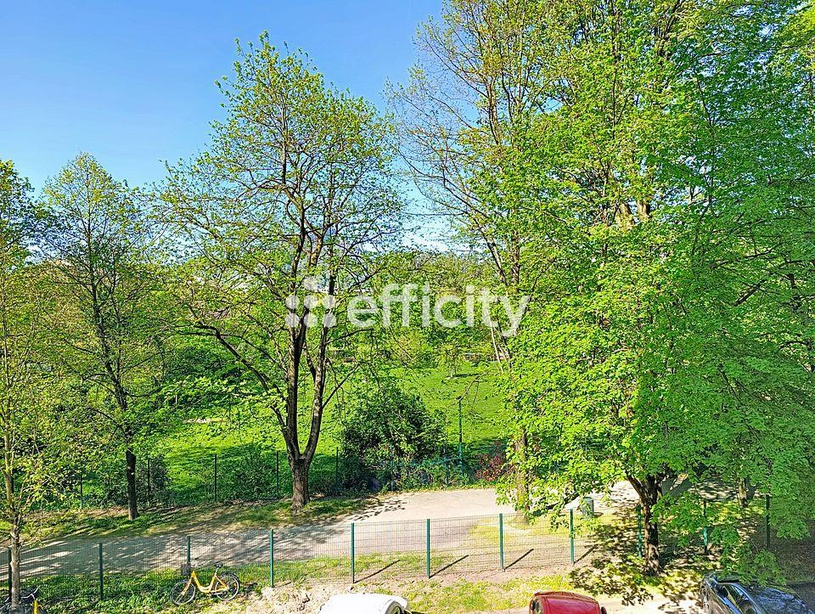 Achat immobilier Appartement 5 pièces  106m2 à Grenoble (38100) - Photo n°12